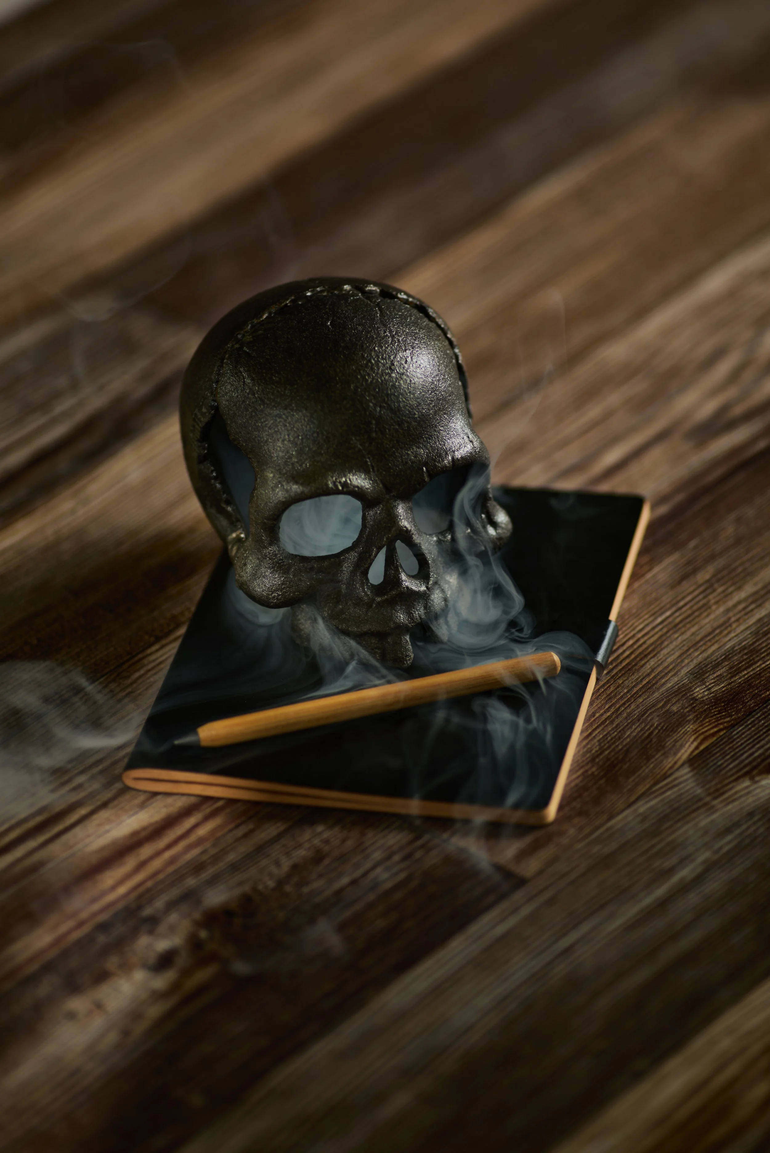 Skull, Book and Pencil, vintage, dark, moody