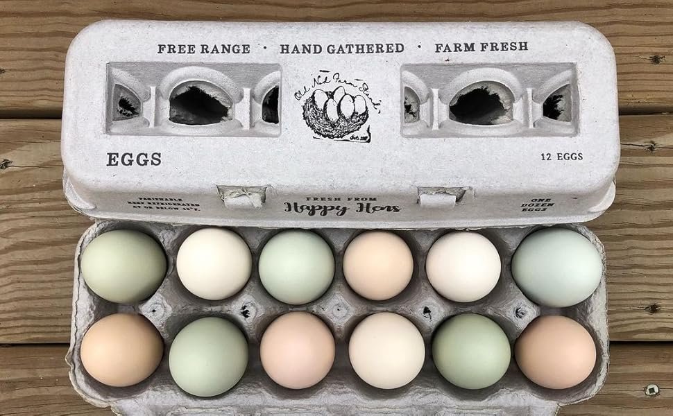 Pasture-Raised Eggs