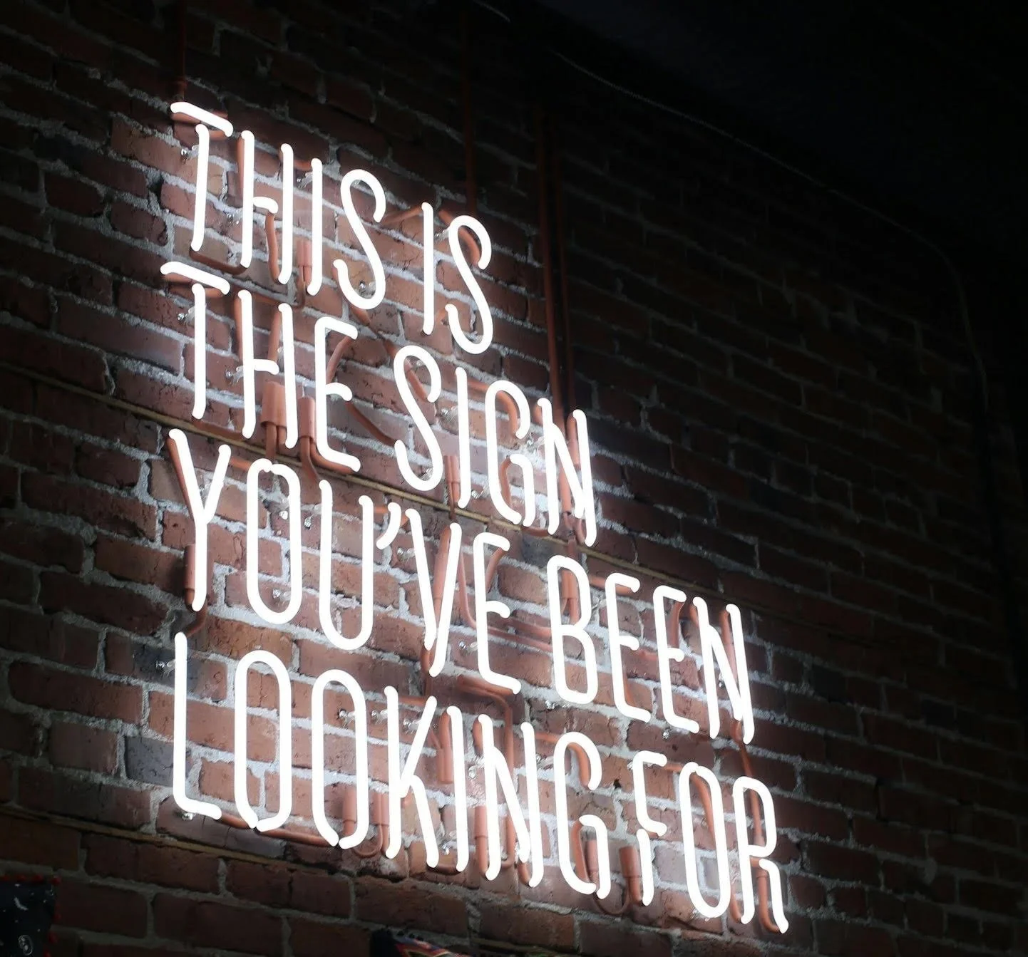 Neon sign on brick wall with text: "THIS IS THE SIGN YOU'VE BEEN LOOKING FOR"