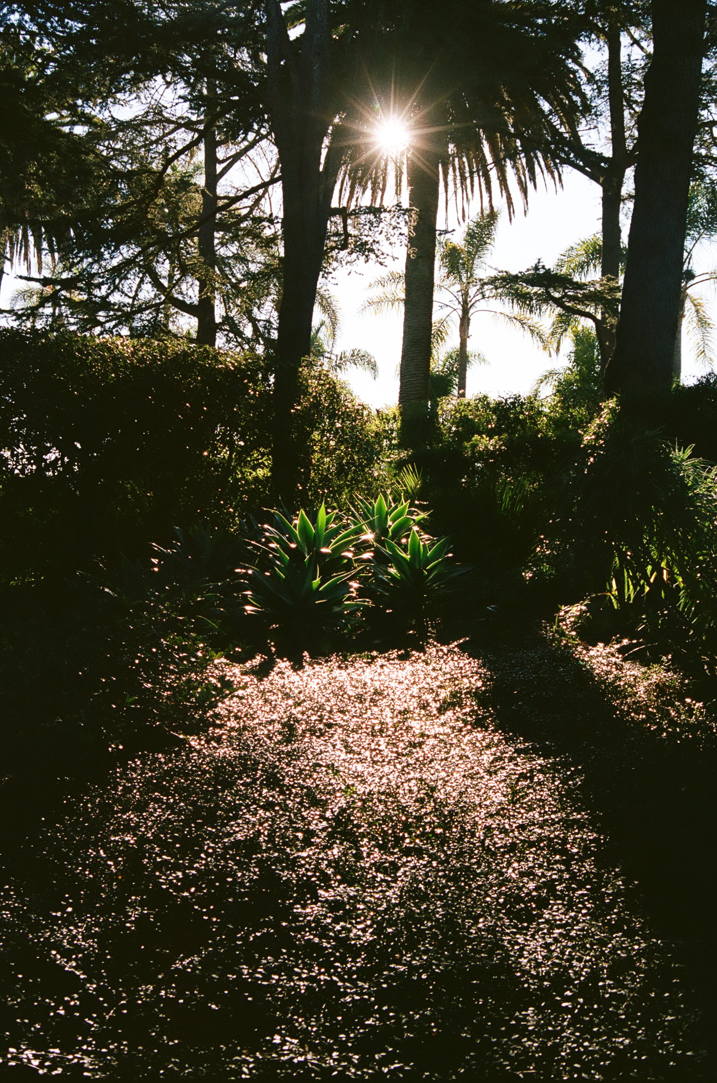 AMD-20241206-Lee-Stanton-Casa-Arbolada-4000px-06.jpg