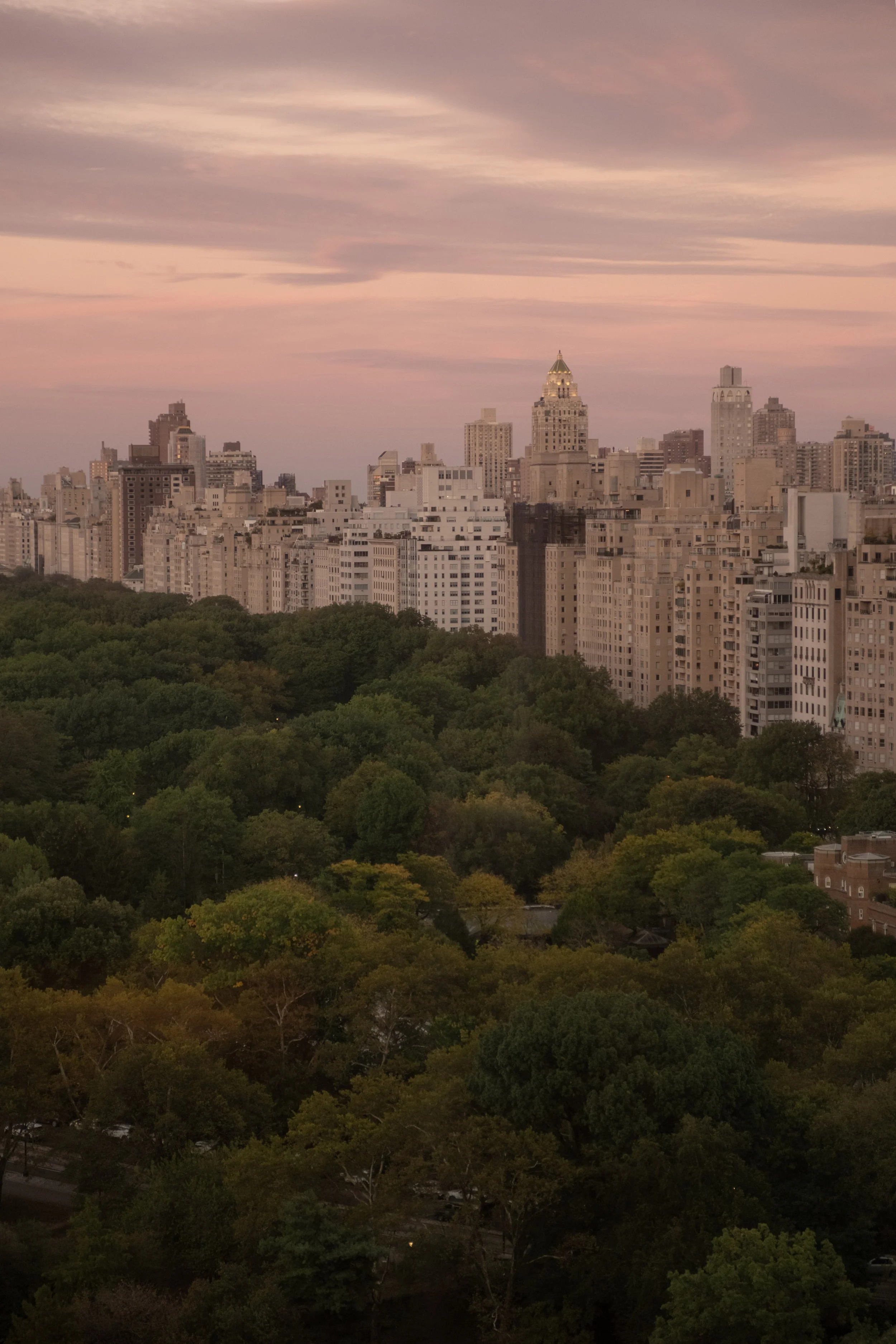 AMD-202510-Park-Lane-New-York-20.jpg