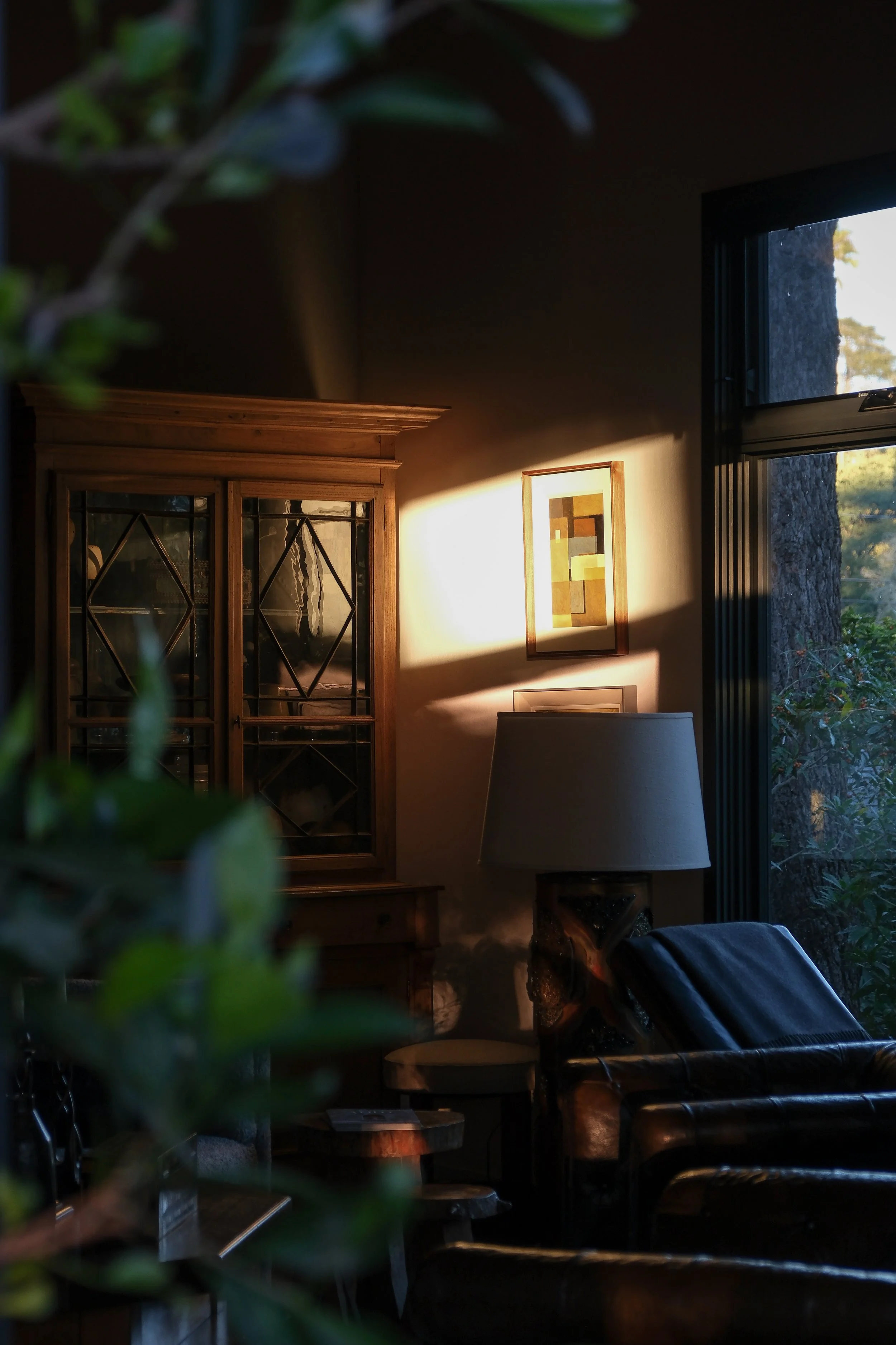 AMD-20241206-Lee-Stanton-Casa-Arbolada-4000px-71.jpg