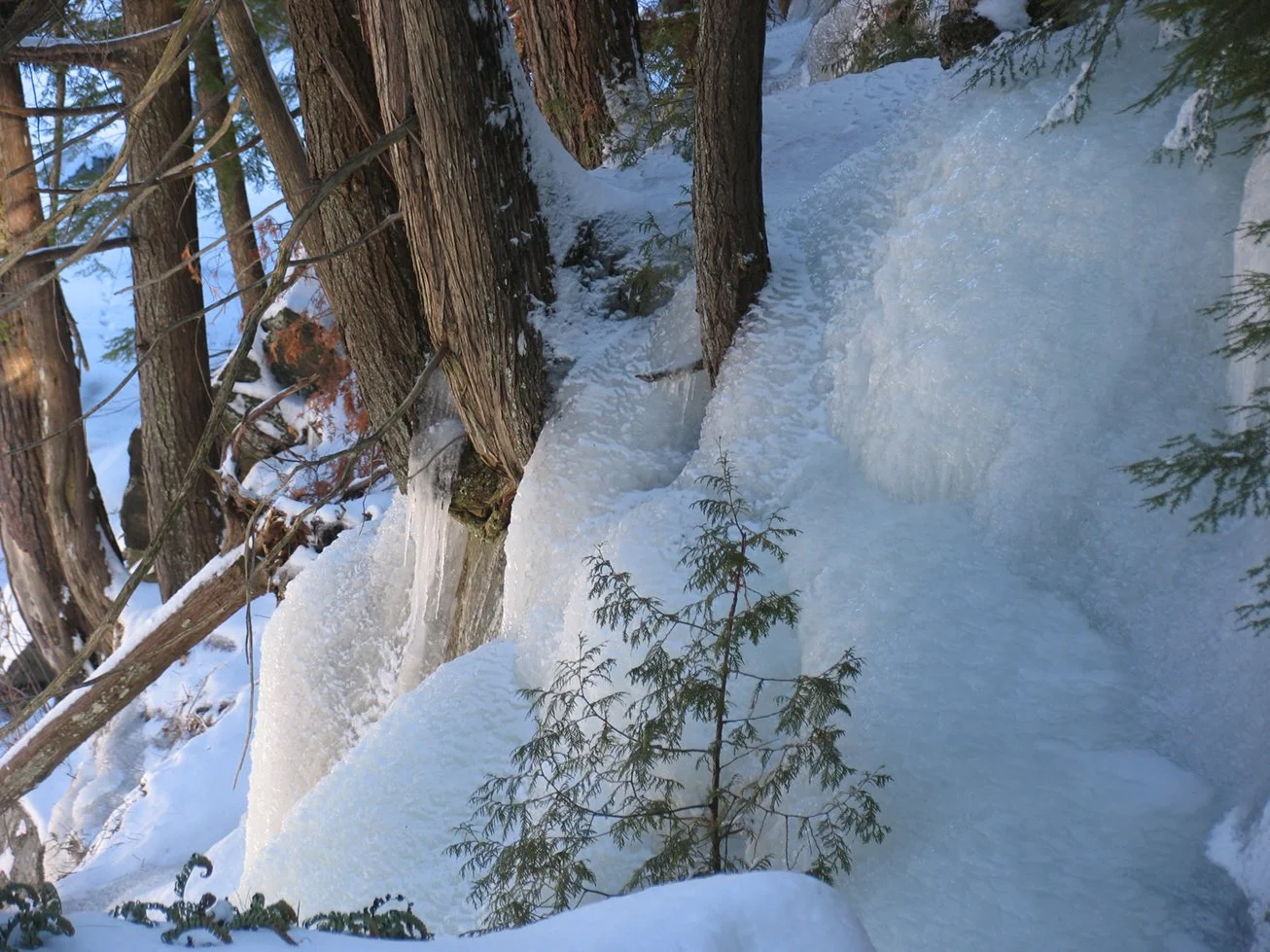 Frozen