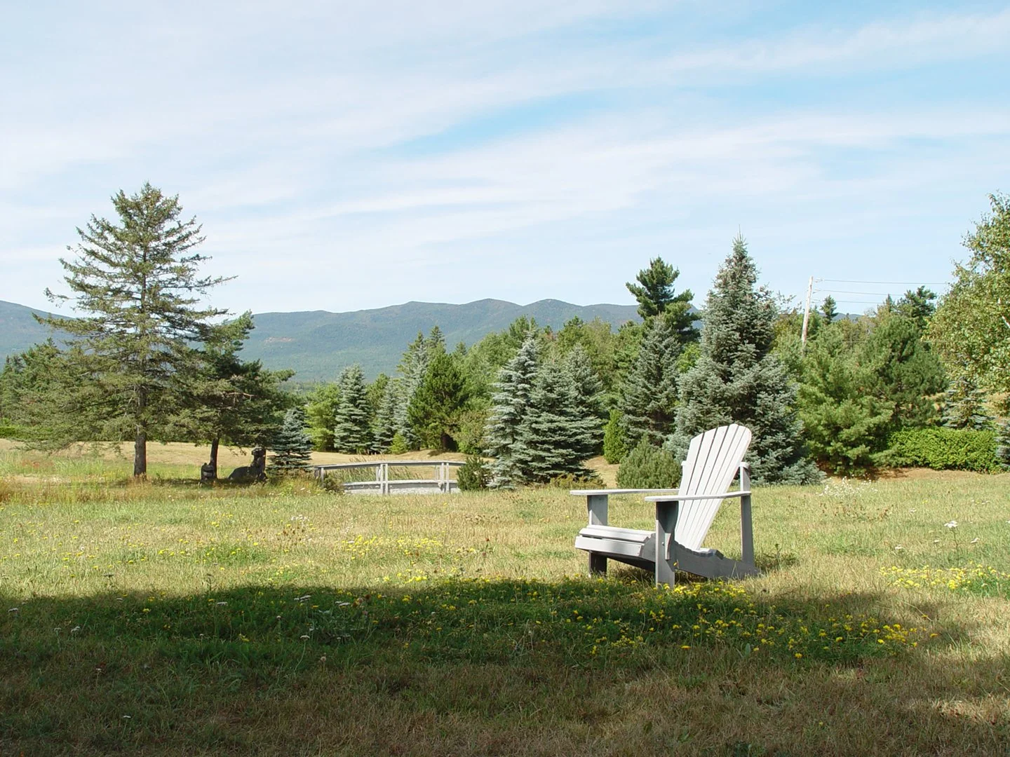 Adirondack Chair