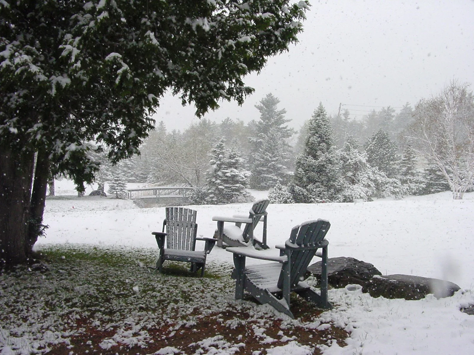 Chilly Chairs