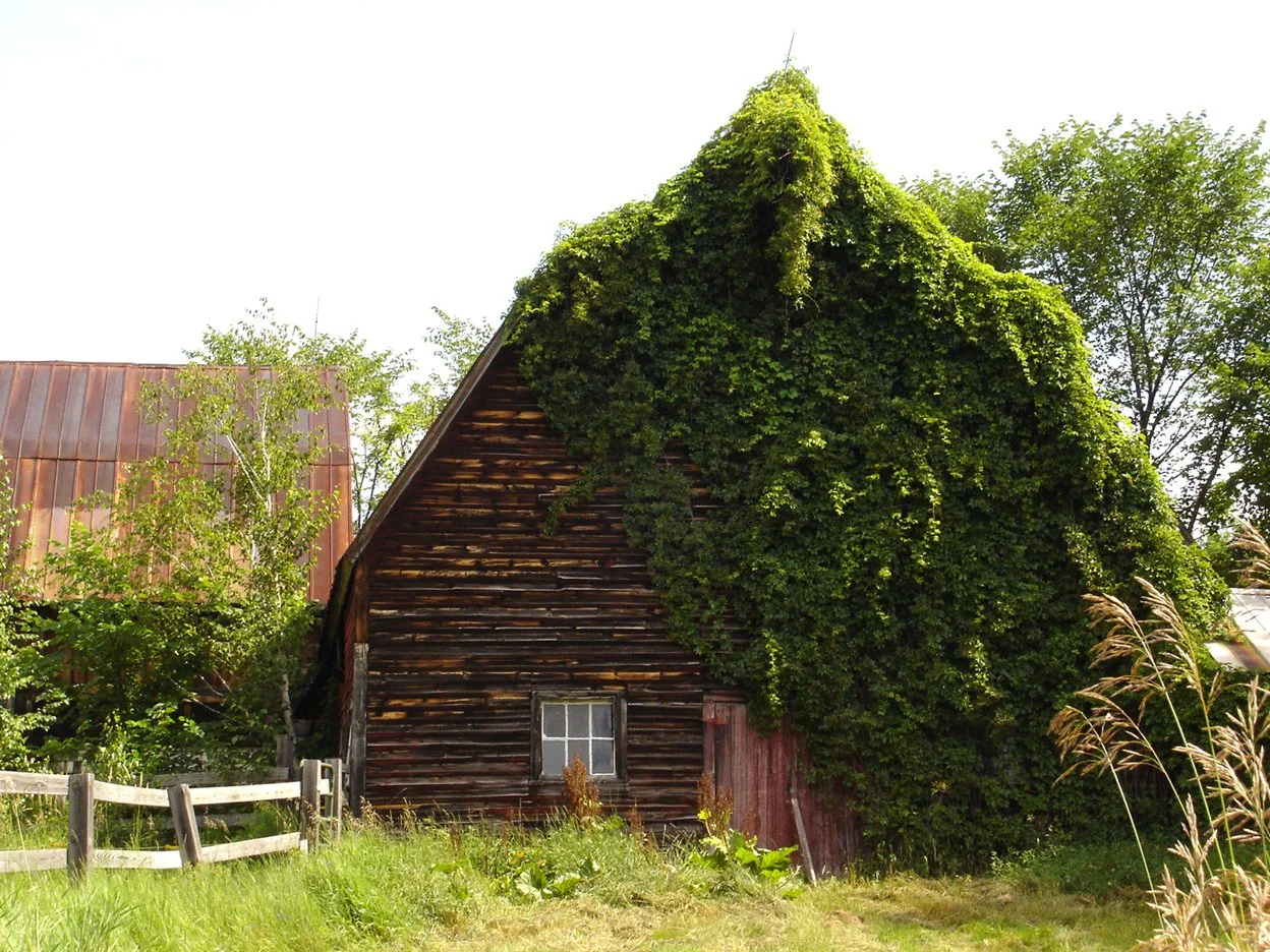 The Old Barn