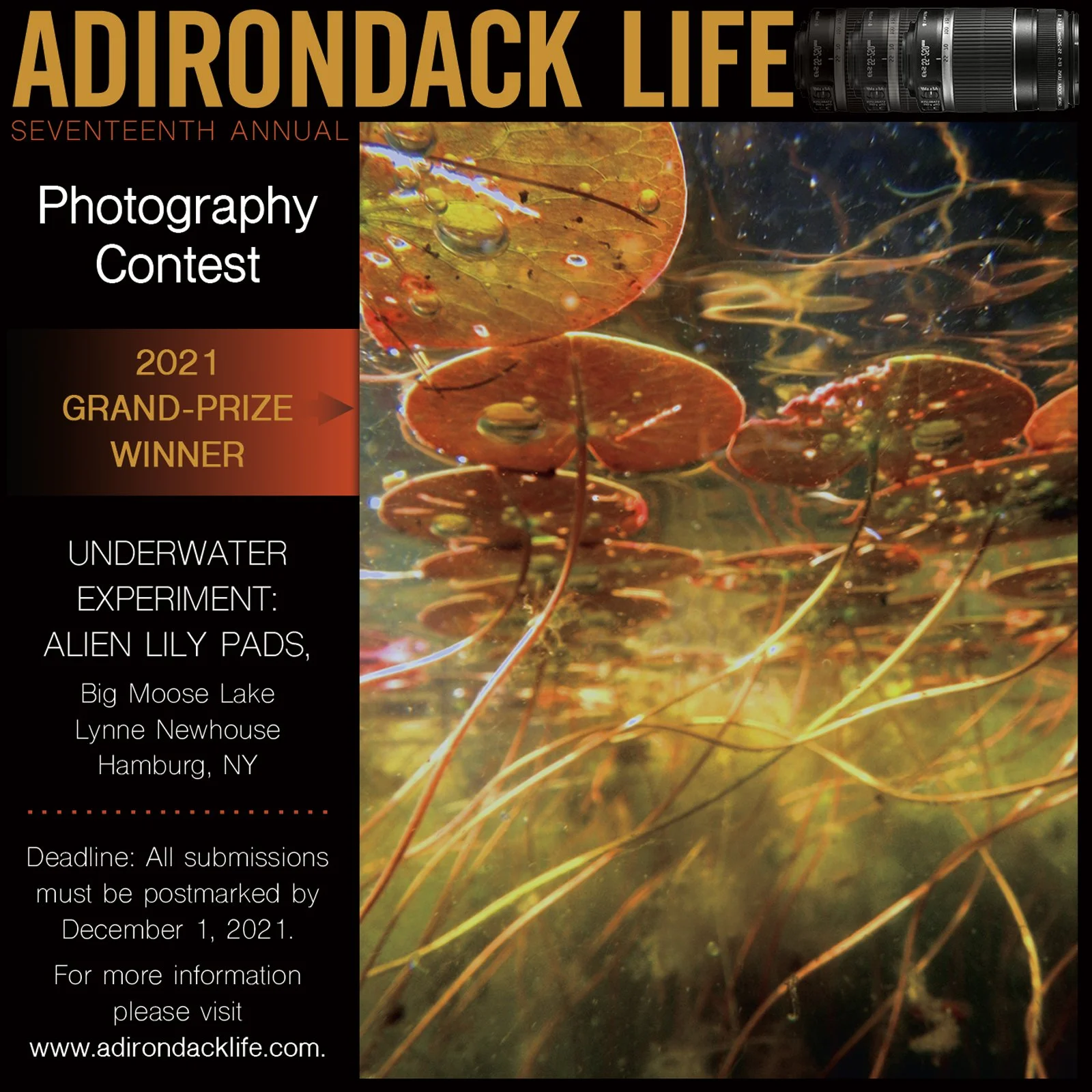 Photography Contest Promotion
