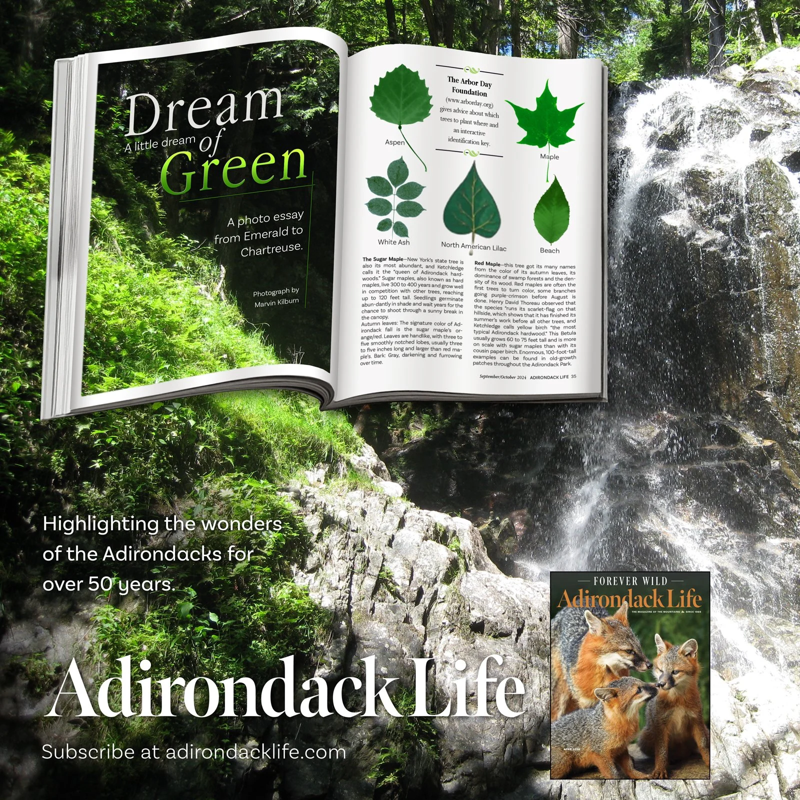 Circulation Promotion Photography and Design