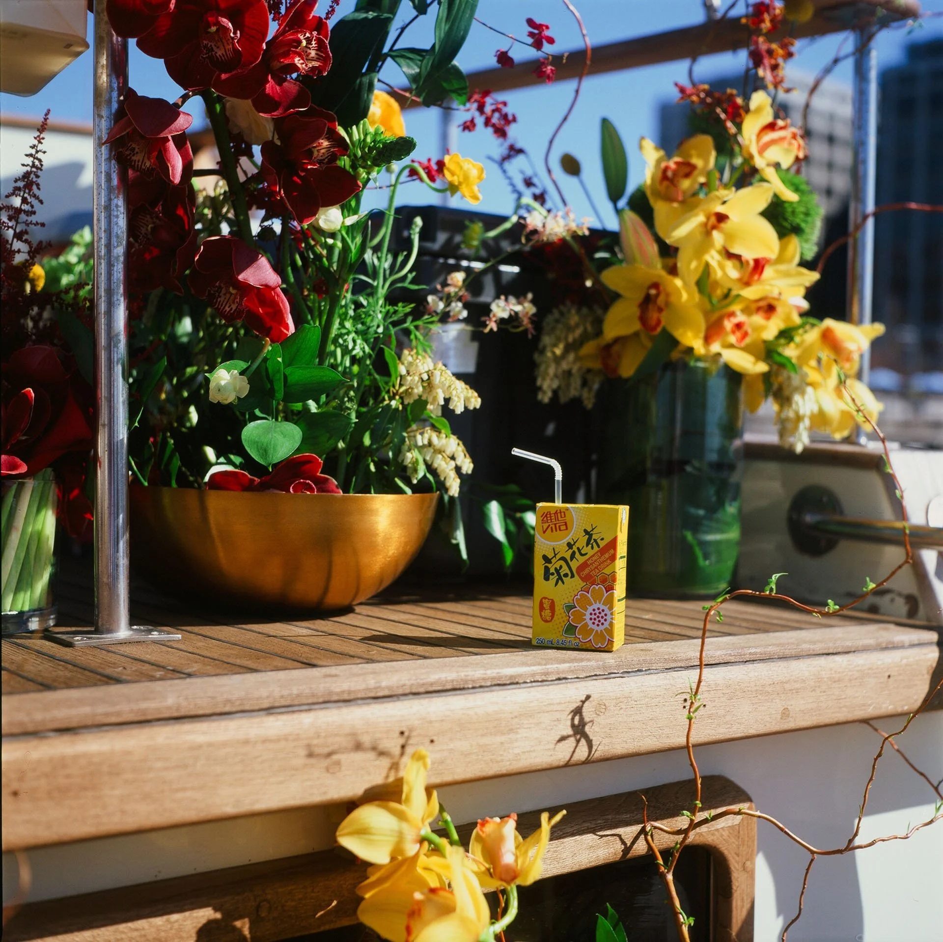 Walls-Trimble_Brooklyn-Boat_Film_Wedding_32.jpg