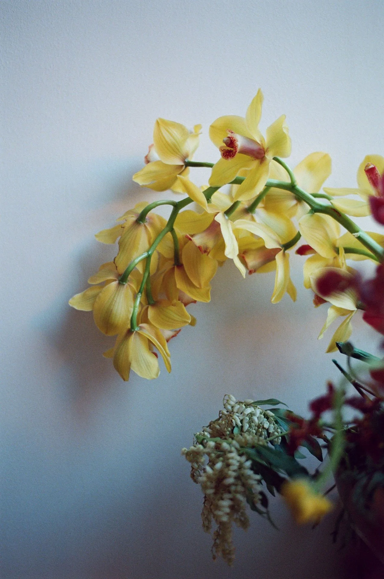 Walls-Trimble_Brooklyn-Boat_Film_Wedding_49.jpg