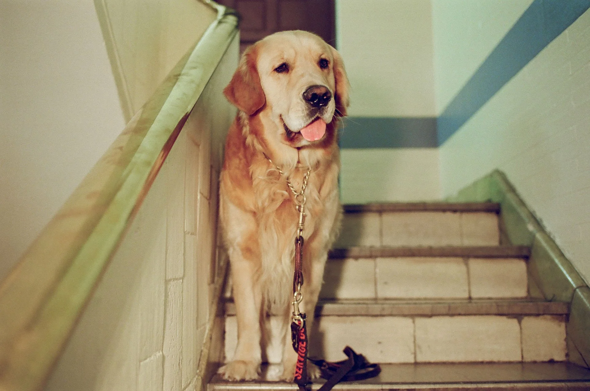 Walls-Trimble_UWS_Film_Wedding_21.jpg