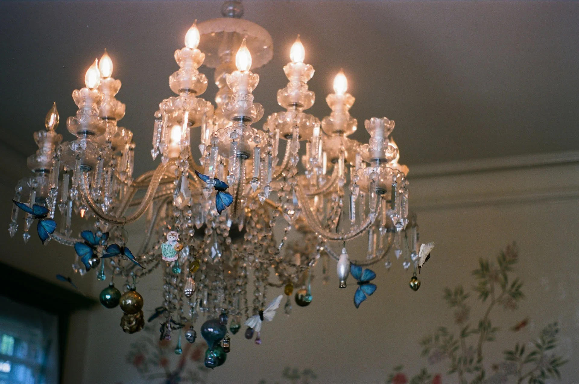 Walls-Trimble_Brooklyn-Garden_Film_Wedding_3.jpg