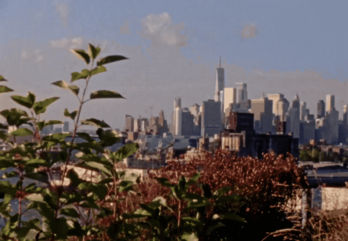 Walls-Trimble_Super-8_Brooklyn00069978.gif