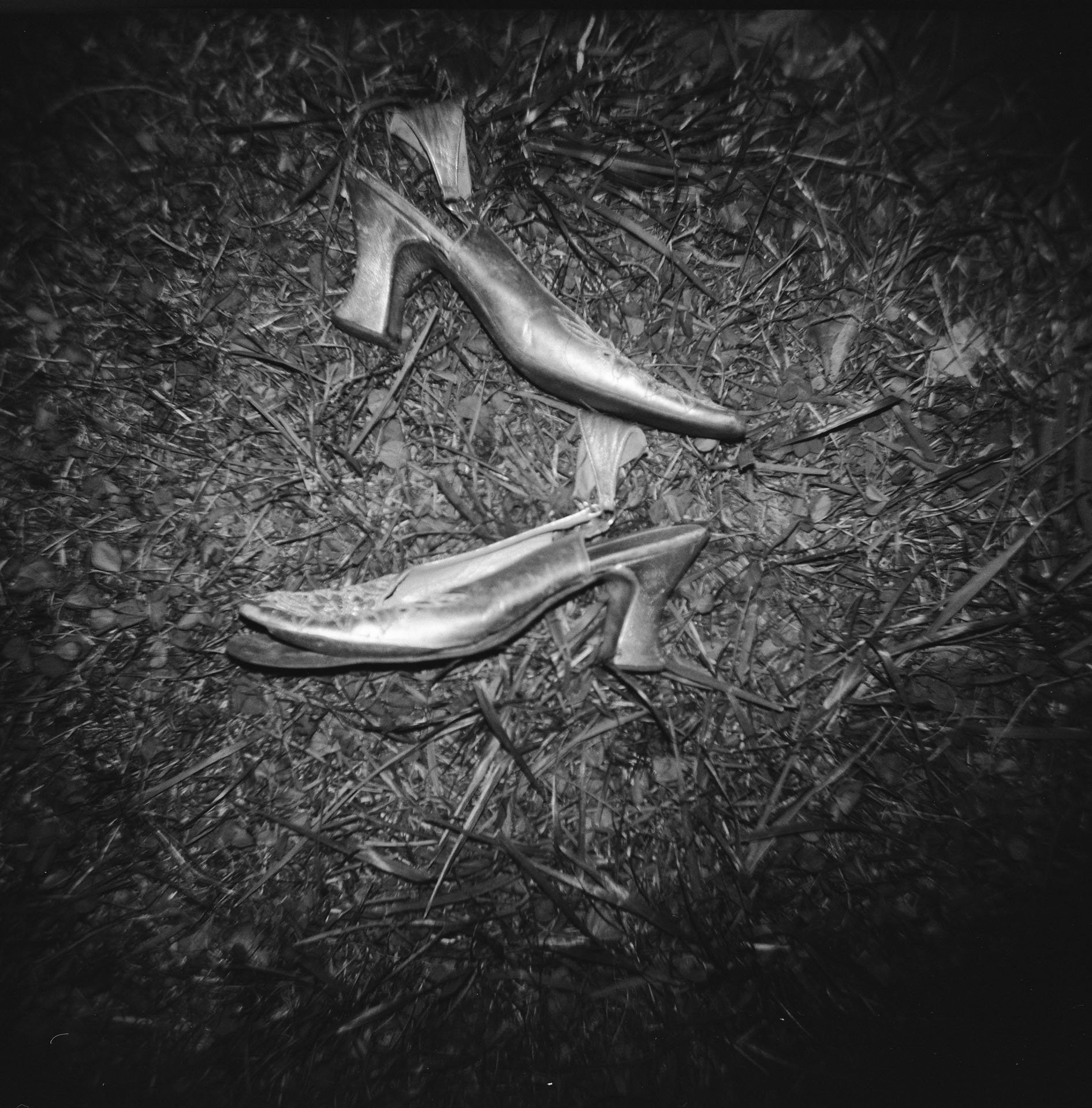 Walls-Trimble_Brooklyn-Garden_Film_Wedding_59.jpg