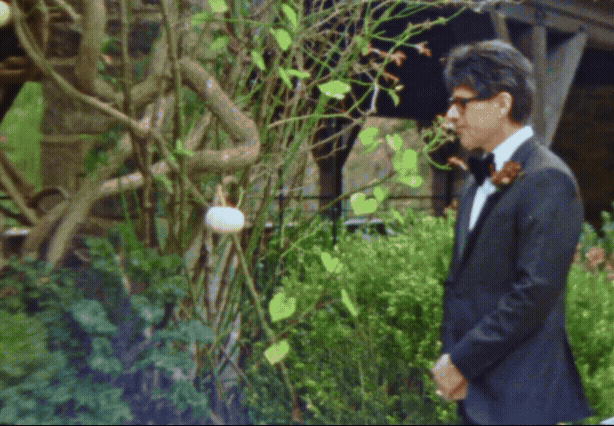 Walls-Trimble_Super-9_Blue-Hill_13.gif