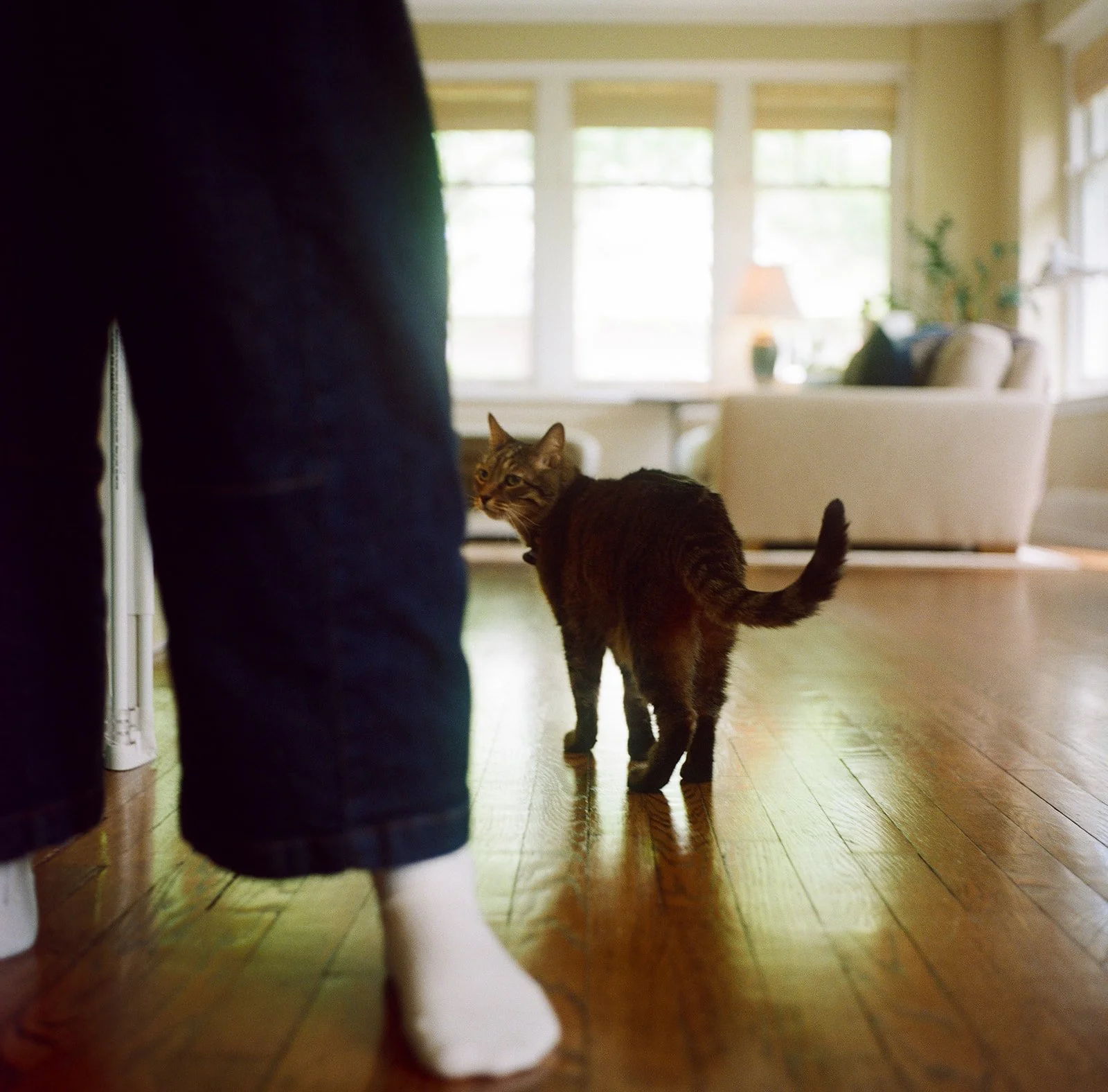 Walls-Trimble_Film-Family-Winnetka_Chicago2.jpg