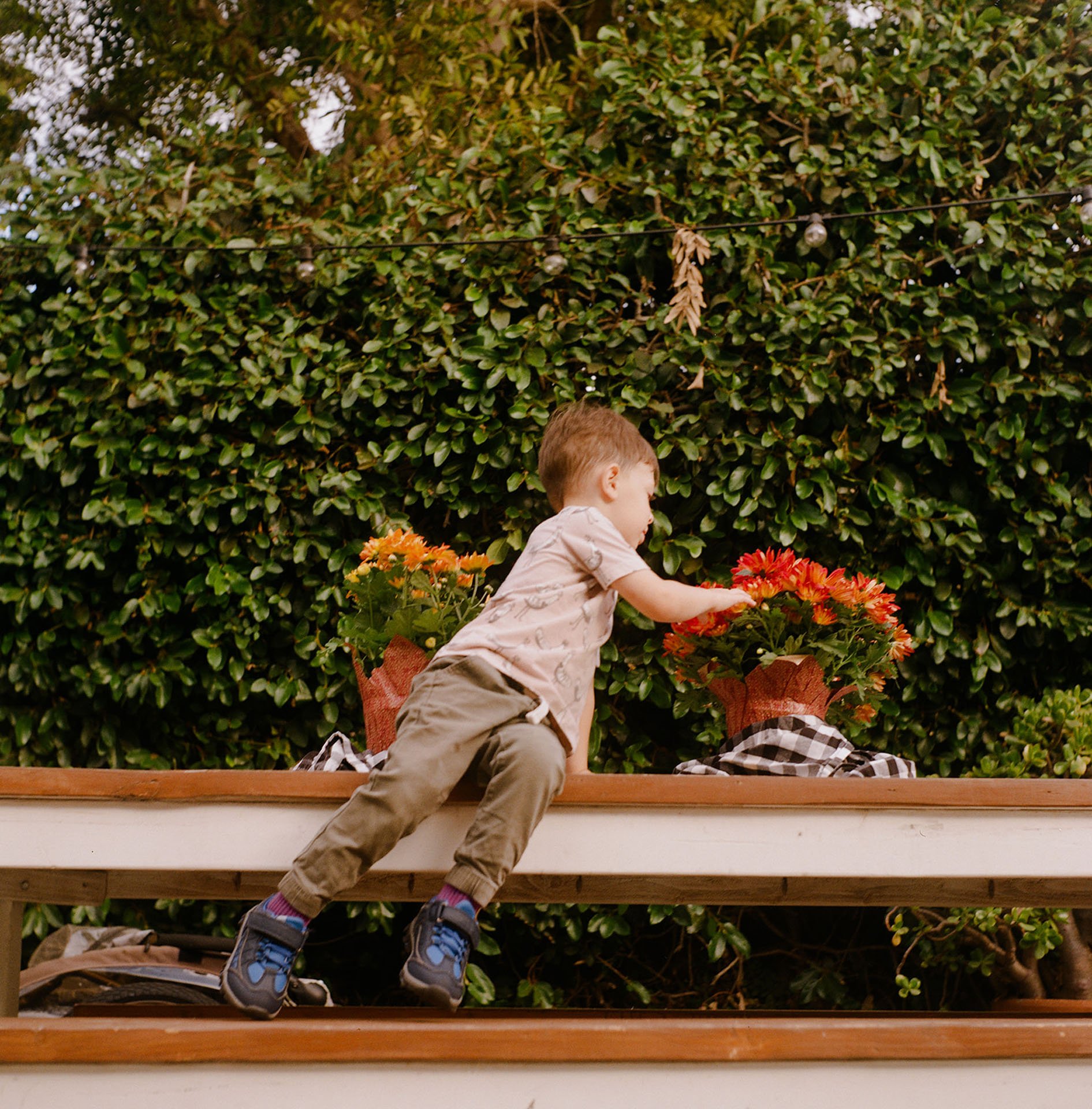 Walls-Trimble_Los-Angeles_Film_Family-Session_4.jpg