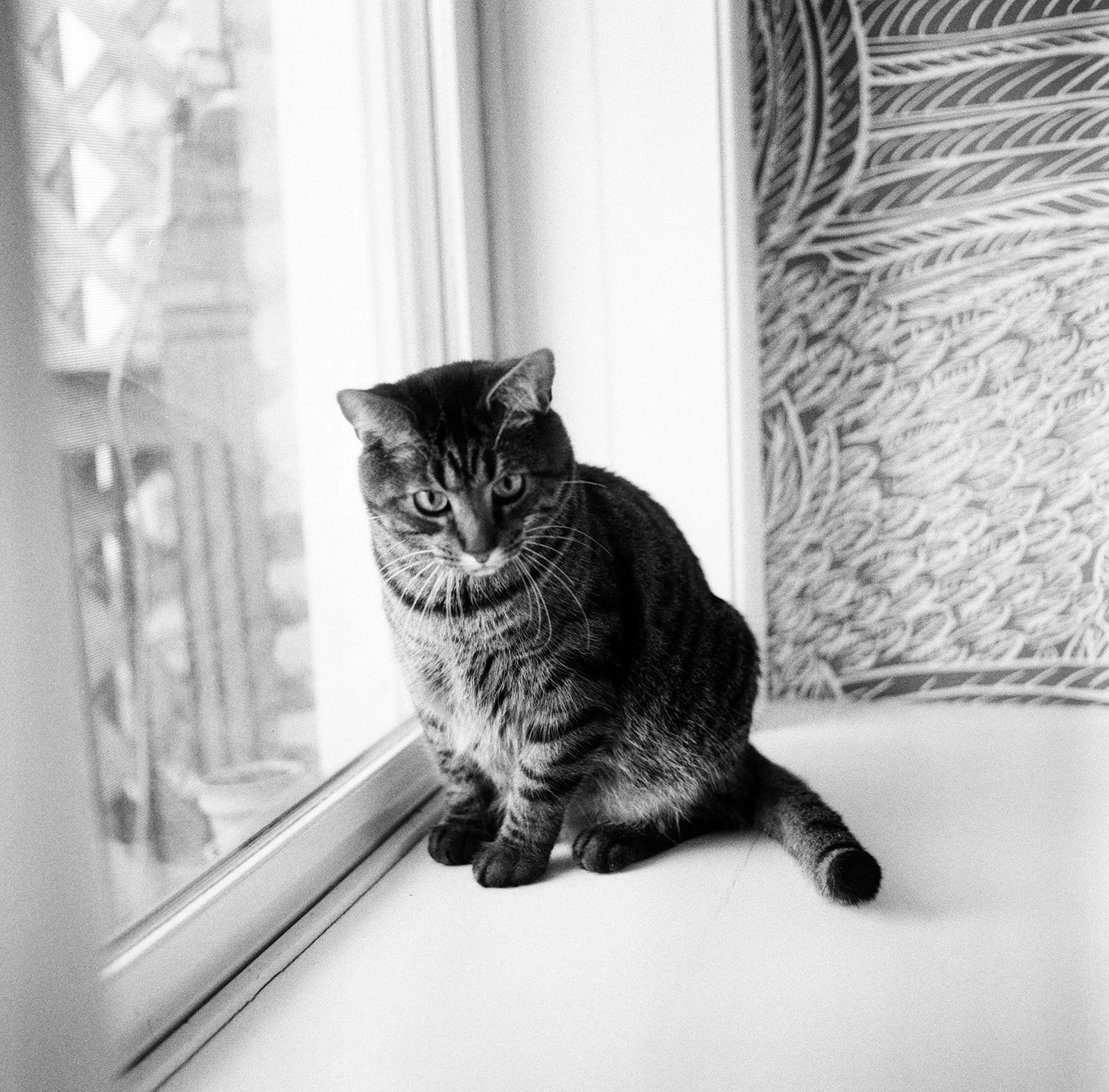 Walls-Trimble_Film-Family-Photography_Chicago24.jpg
