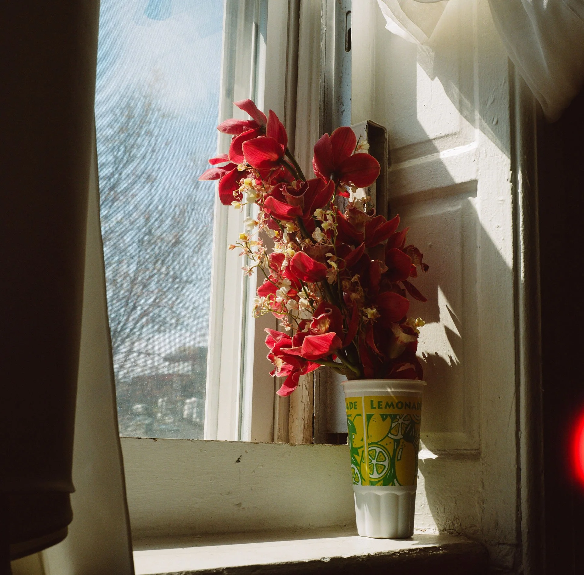 Walls-Trimble_Brooklyn-Boat_Film_Wedding_19.jpg
