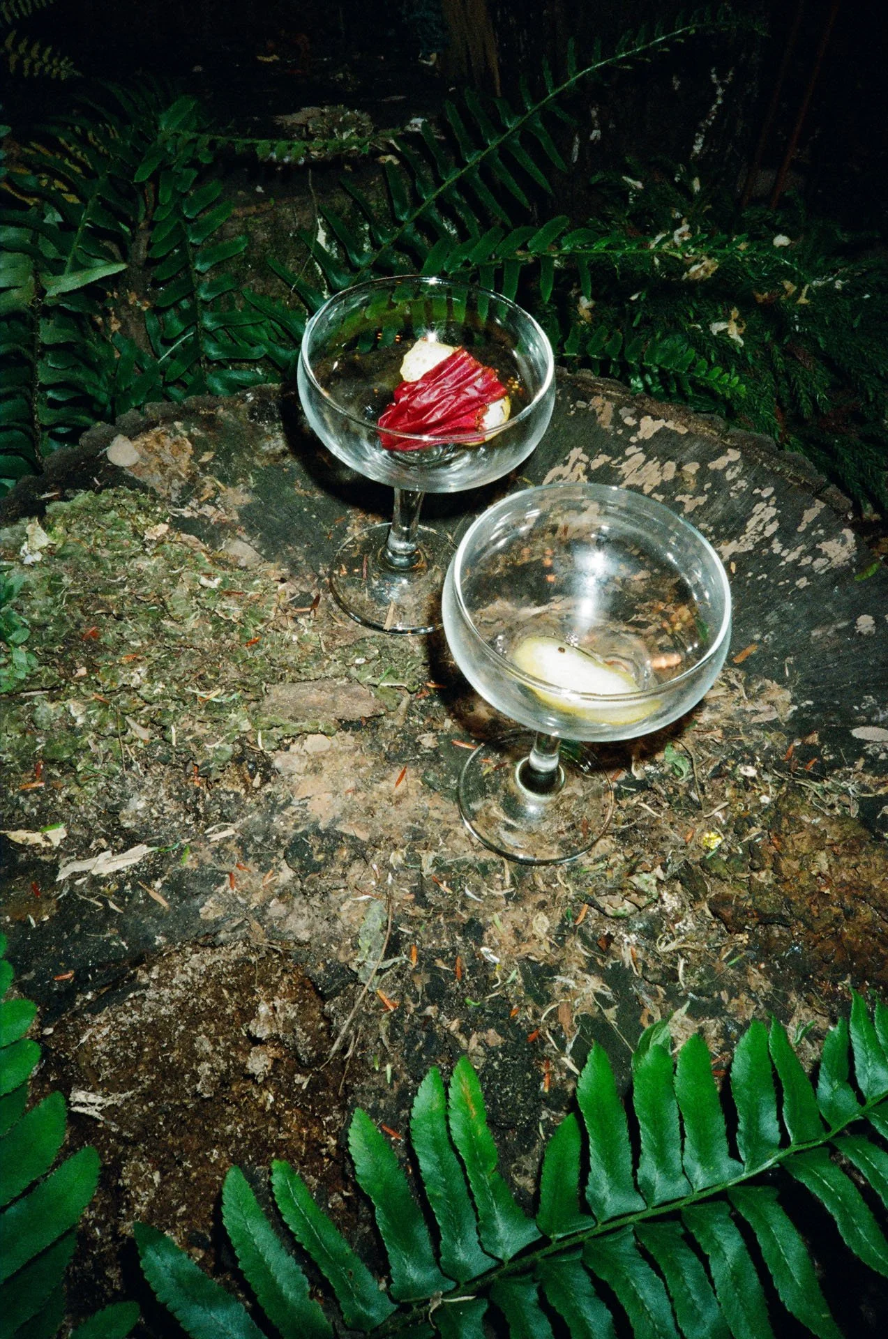 Walls-Trimble_Brooklyn-Garden_Film_Wedding_52.jpg