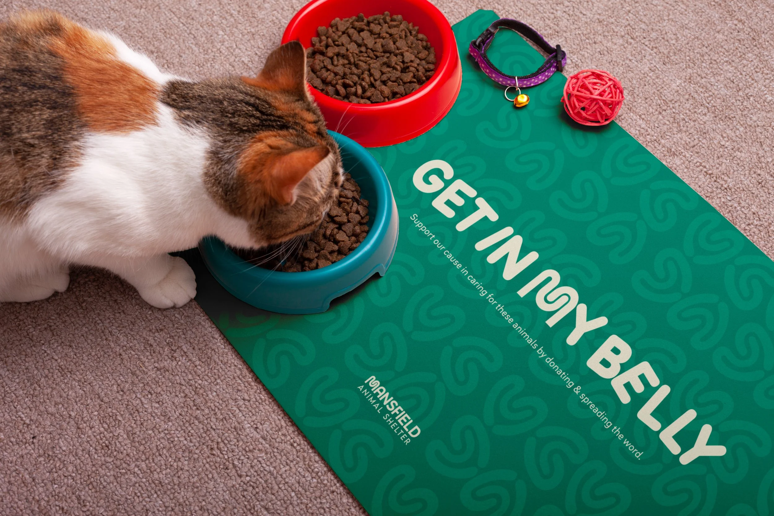 A cat eating dry cat food from a blue bowl, with a red bowl of dry cat food beside it, and pet accessories including a purple collar with a bell and a red woven ball toy on a green mat with white text.