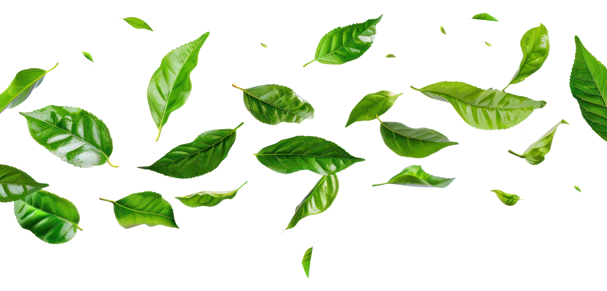 Green leaves scattered over a colorful, glitchy digital background with pink, purple, blue, such as images of technology or digital art.