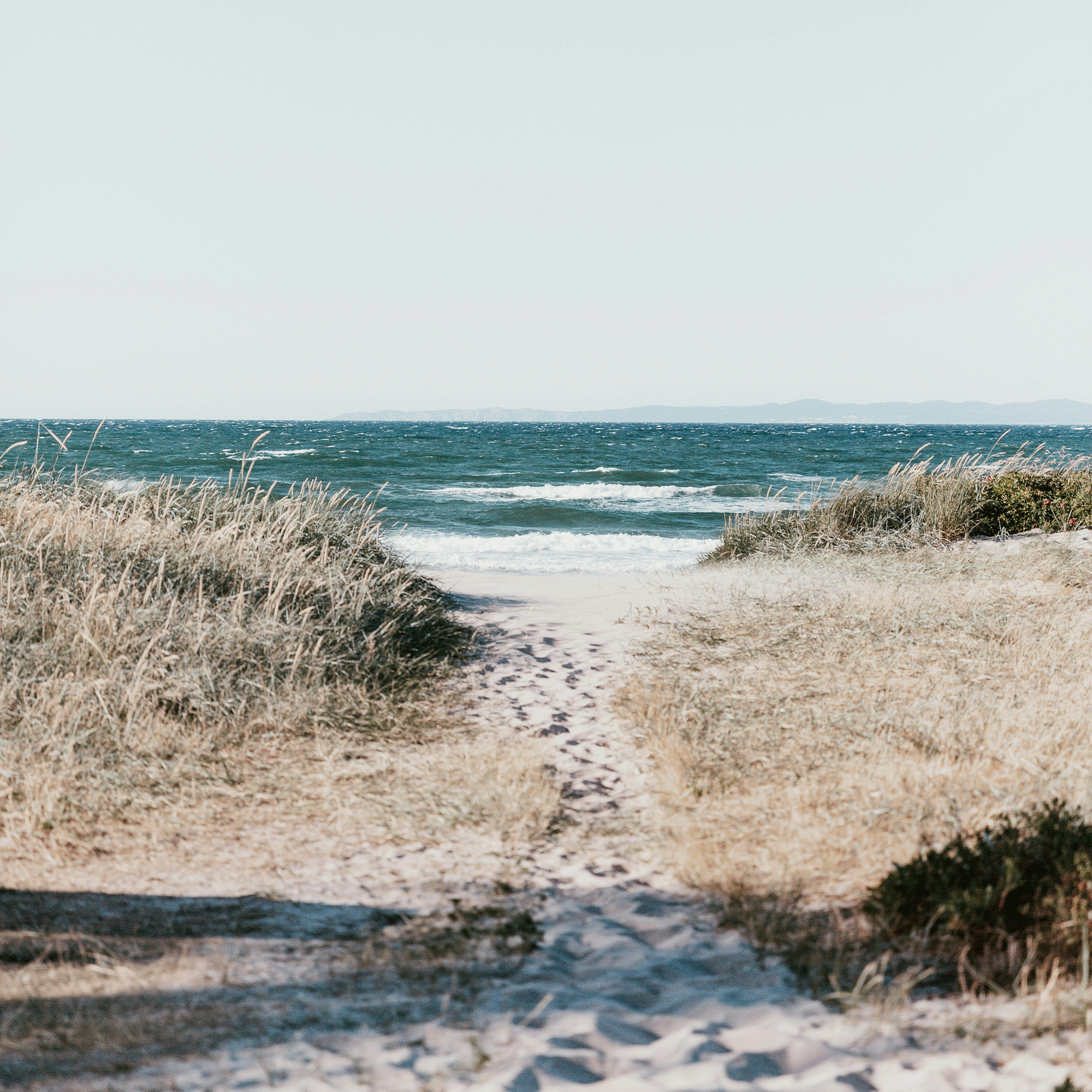 View of a beach with sandy shore and grassy dunes, ocean waves, and mountains in the distance under a clear sky.