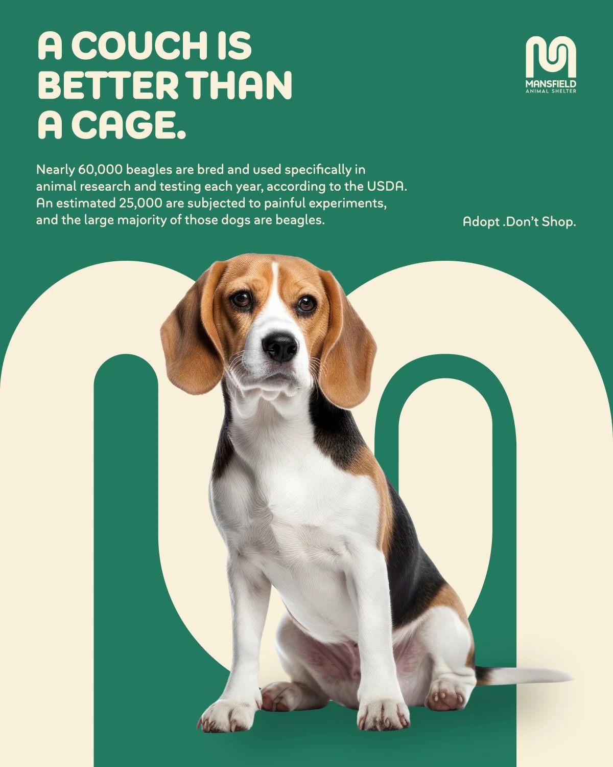A poster featuring a beagle puppy and the message 'A couch is better than a cage'. The poster promotes adopting dogs from Mansfield Animal Shelter.