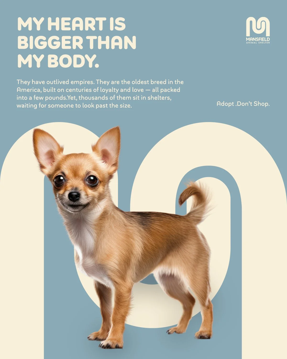 A poster promoting animal shelter adoption featuring a small tan Chihuahua dog with large ears and a curled tail, against a blue background with beige shapes, and text encouraging adoption over shopping. The poster includes the Mansfield Animal Shelter logo.