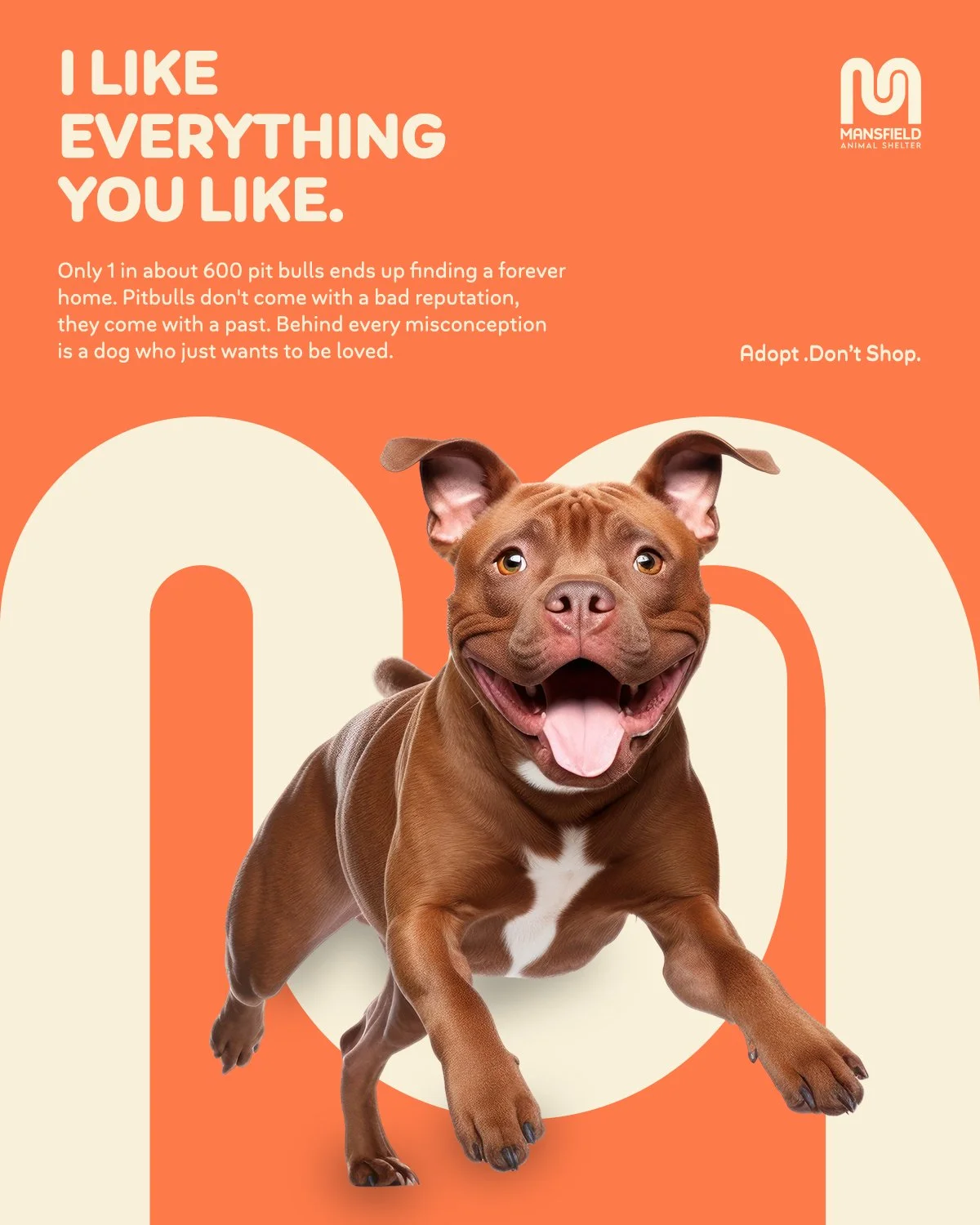 A smiling pit bull dog with a brown coat and white chest, jumping forward against an orange and beige background with text promoting adoption from Mansfield Animal Shelter.
