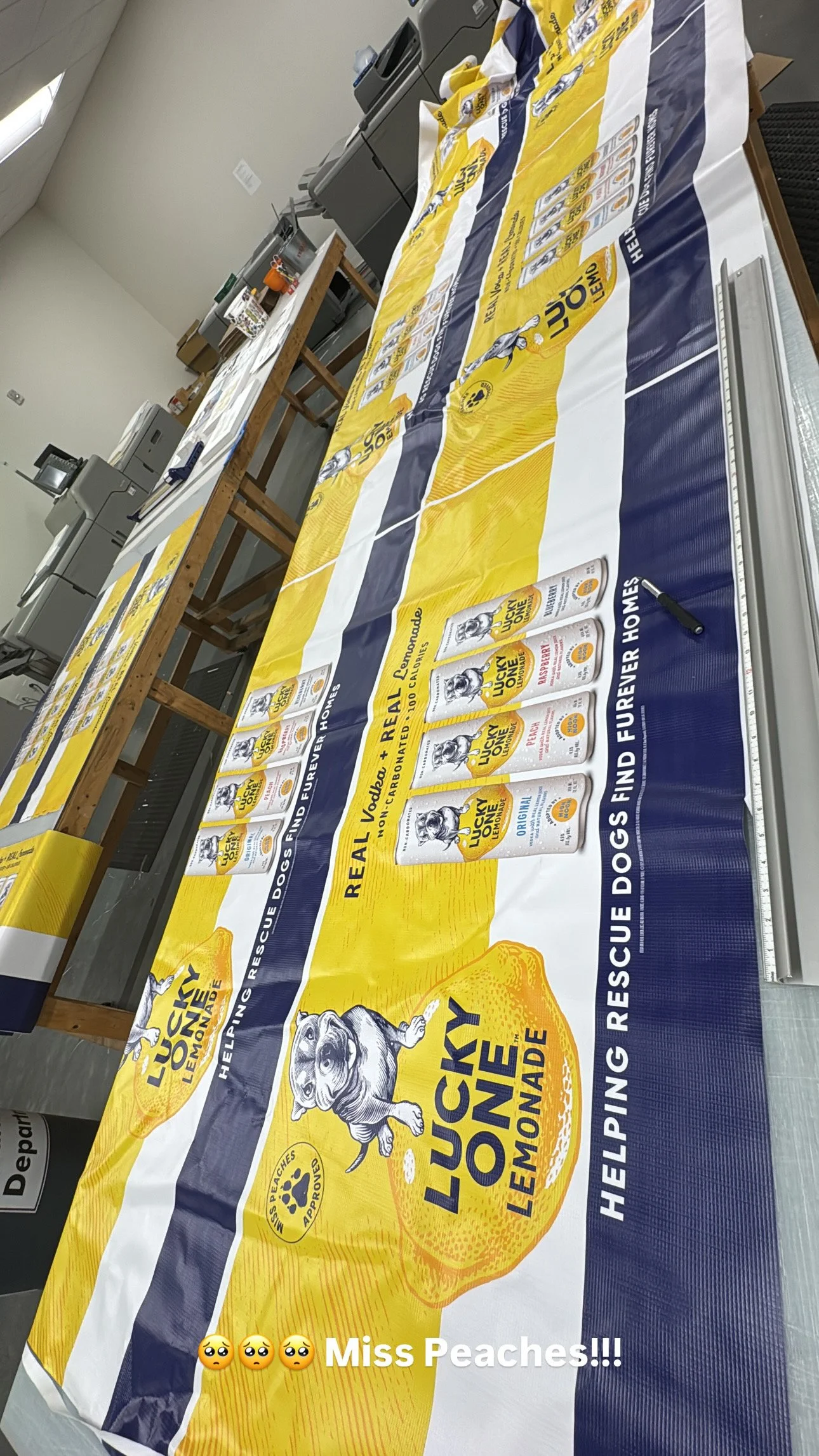 A large yellow and blue banner for Lucky Dog Lemonade, featuring cartoon images of dogs and lemons, with text promoting rescue dogs and Lemonade.