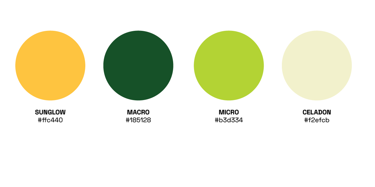 Four circles in a row with colors from left to right: yellow, dark green, lime green, light beige, with the words "Color palette" below.