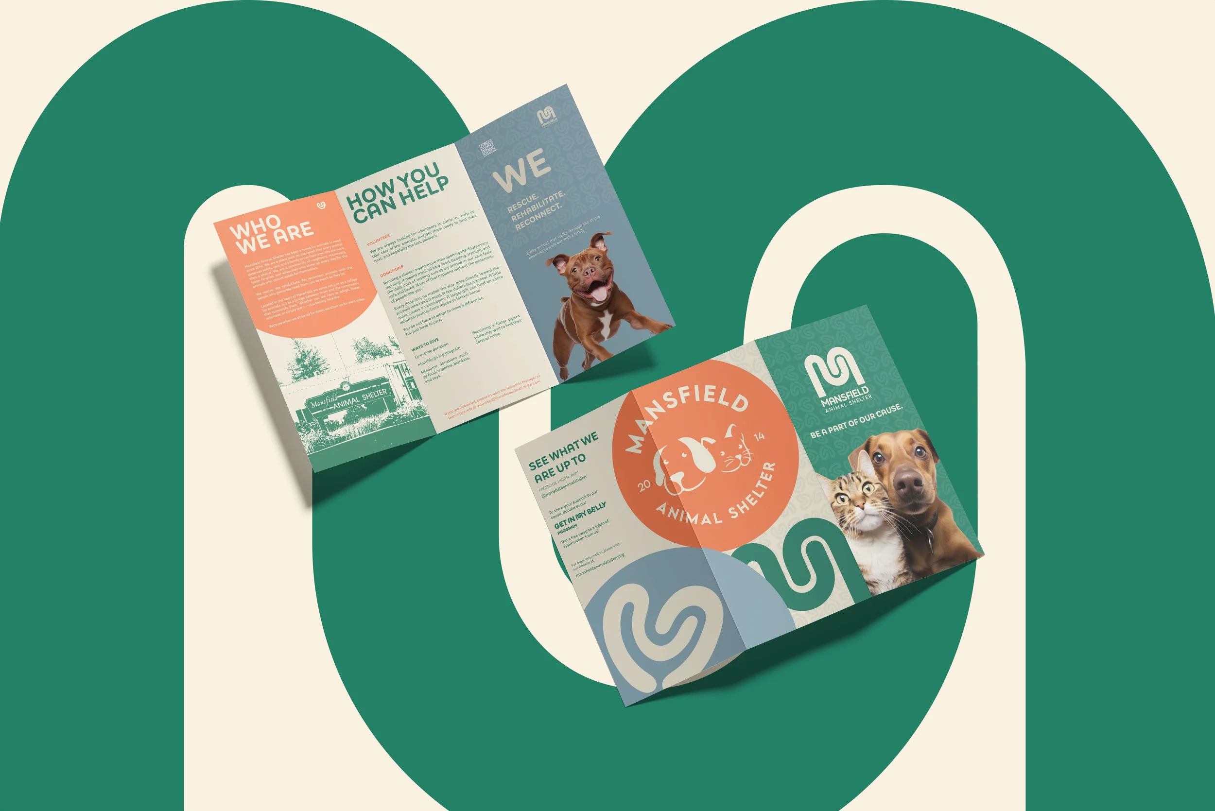 Brochure for Mansfield Animal Shelter featuring a smiling dog and a kitten on a green and white background.