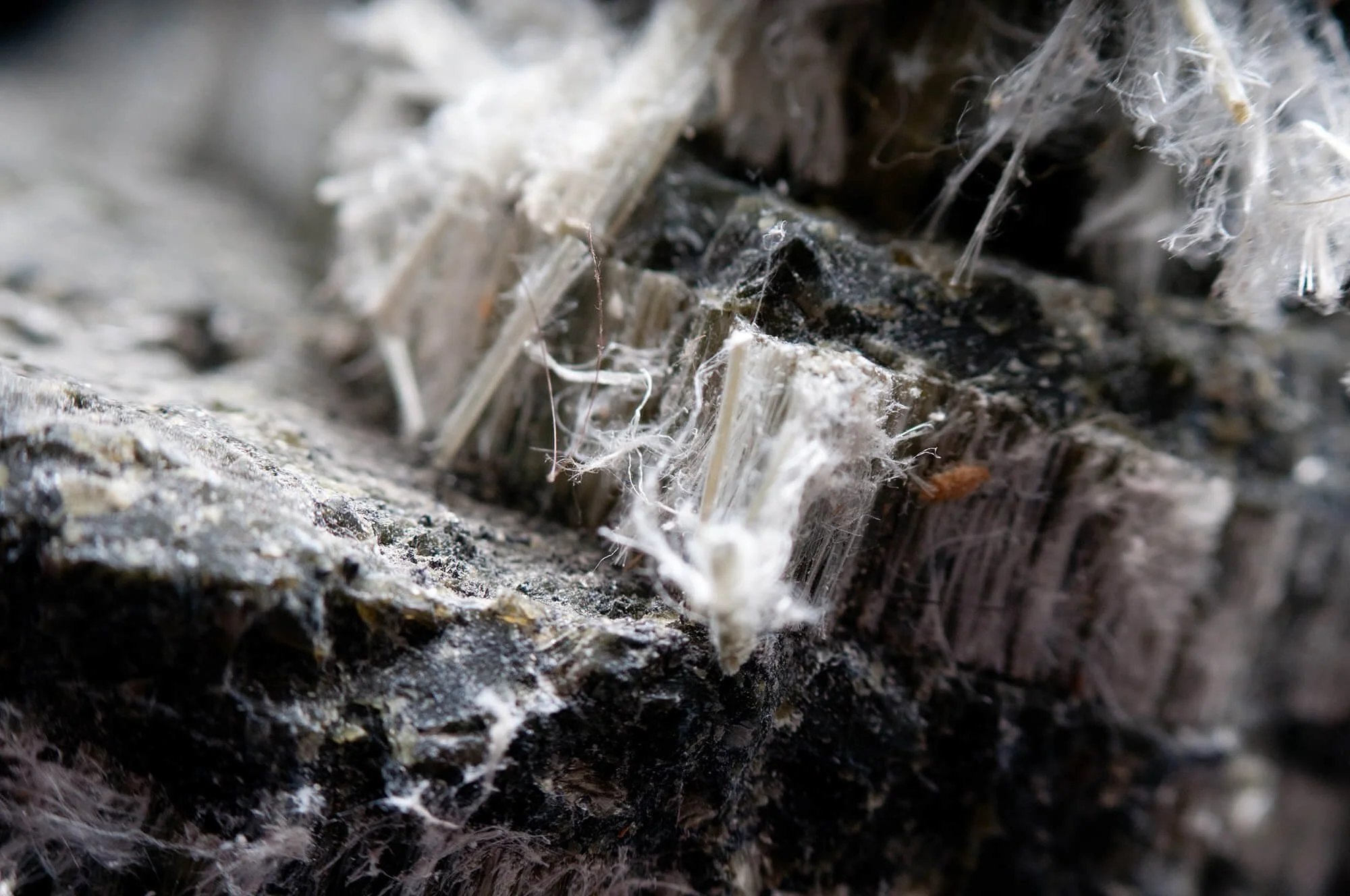 Close up of Asbestos fibers