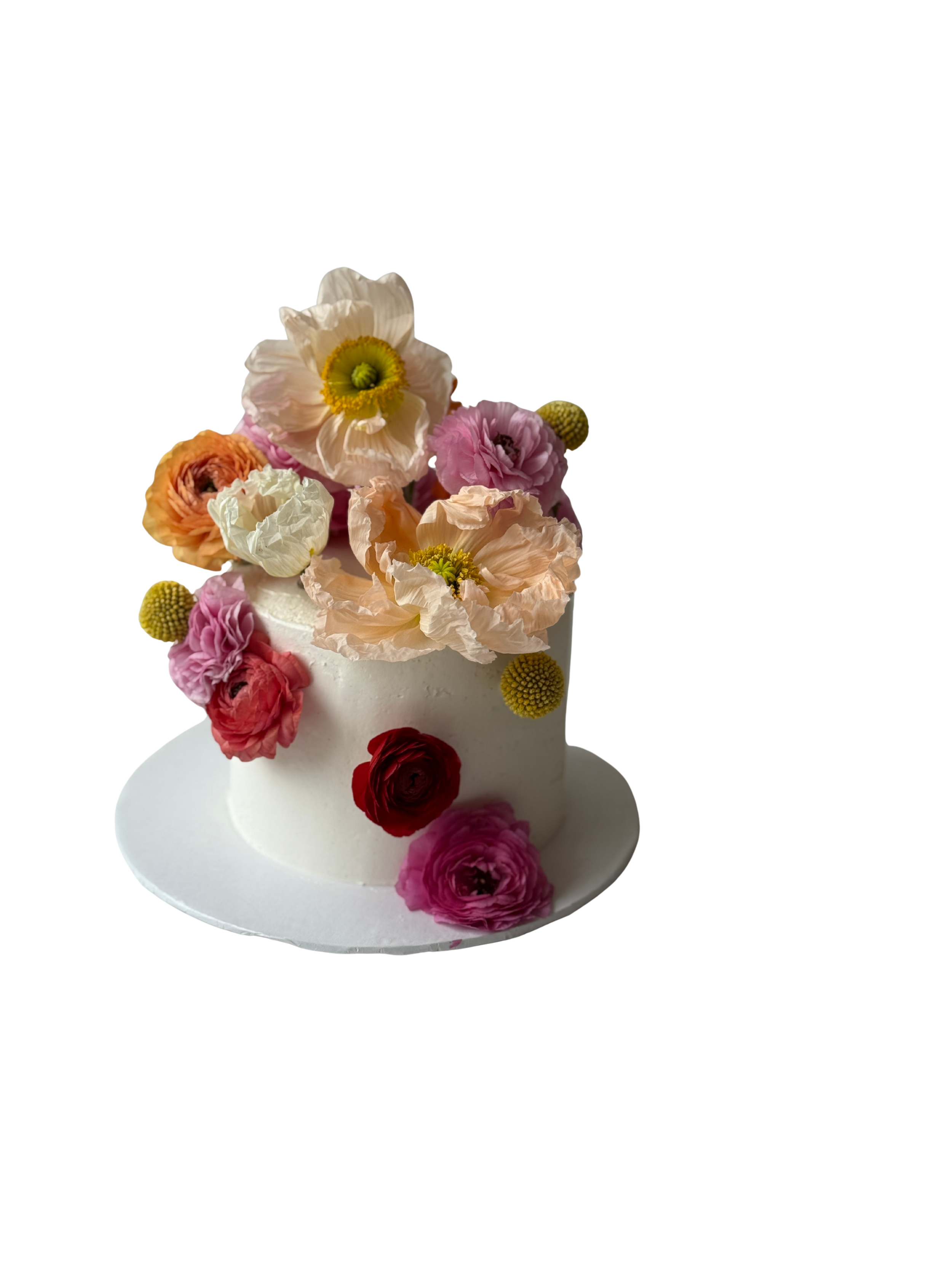 Untitled design-2.png