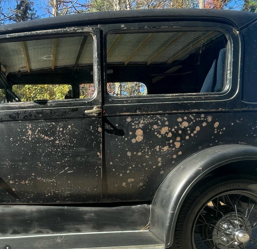 Patina.jpg
