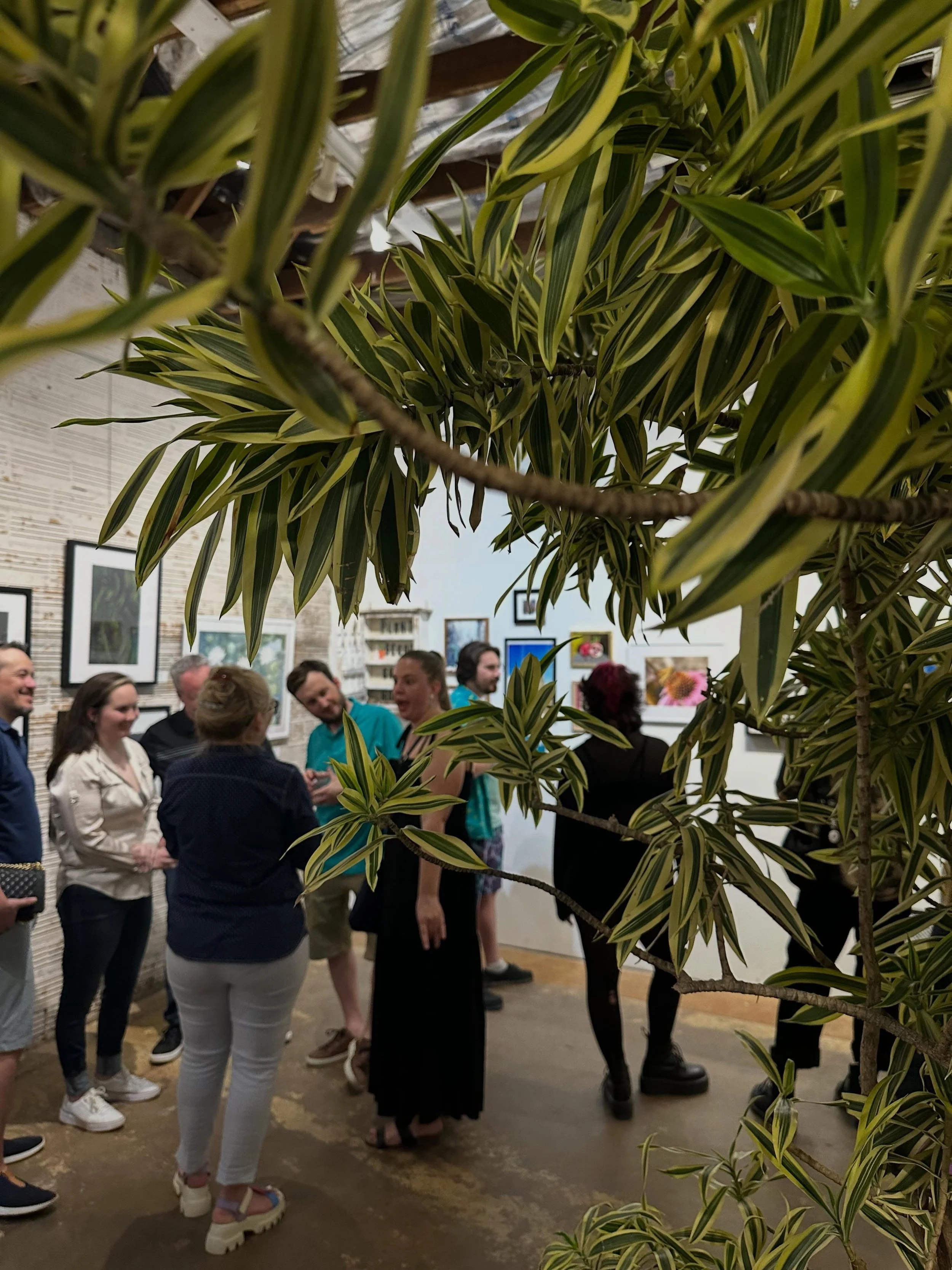 Plantasia: A Botanical Art Show