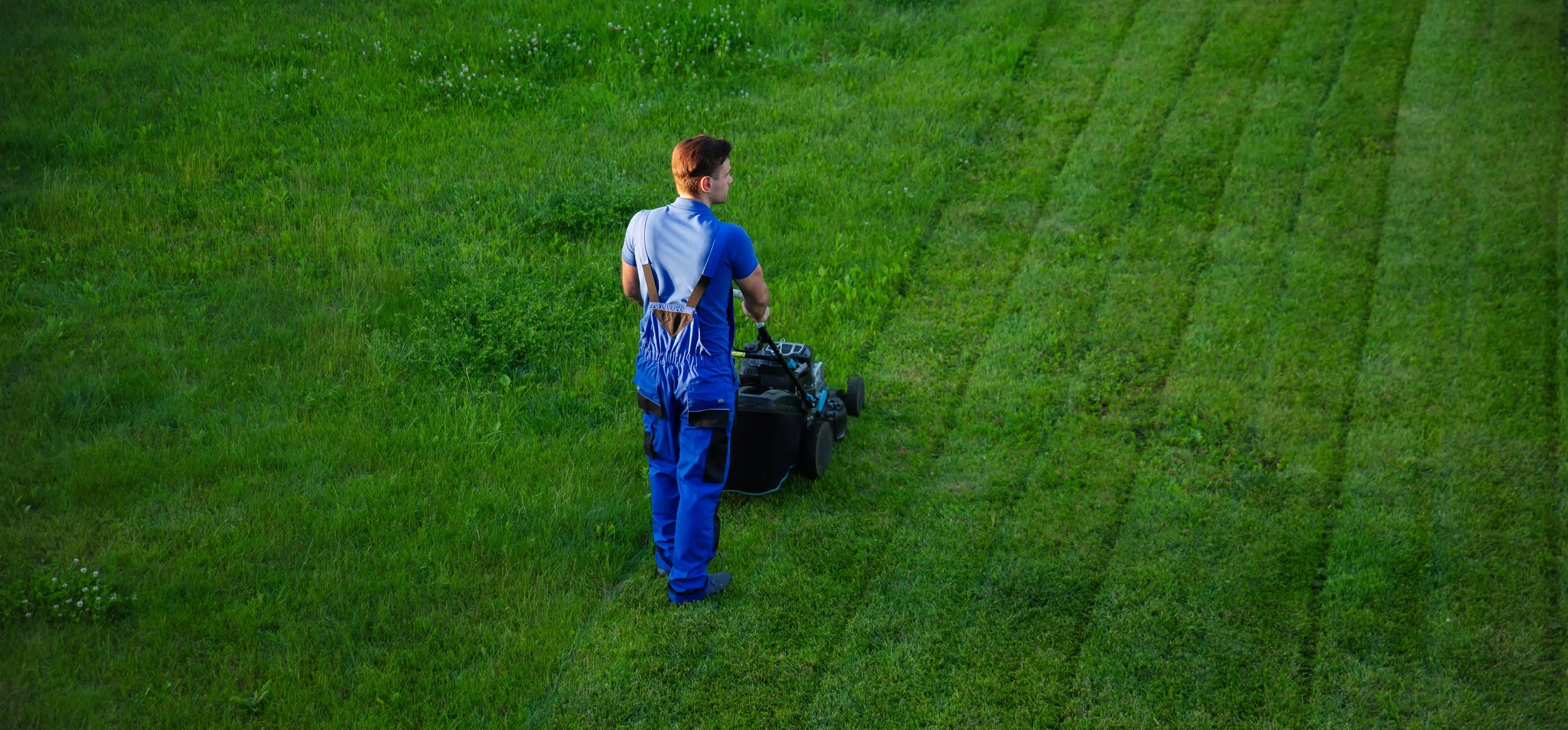 A man in blue overalls mowing a lush green lawn with a push lawn mower, leaving neatly trimmed grass in his wake.