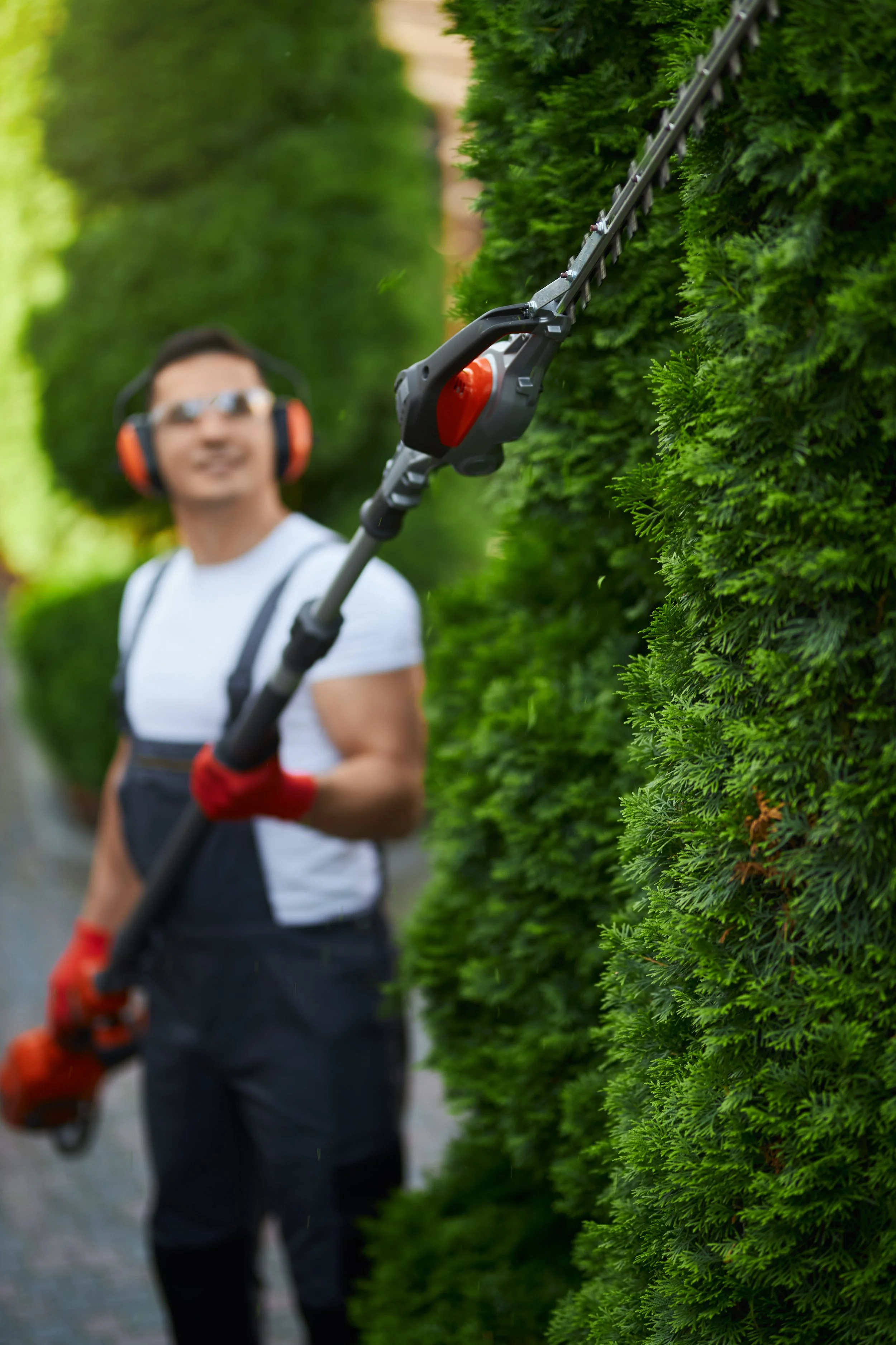 A man in safety gear, including headphones, glasses, gloves, and overalls, is using hedge trimming equipment to trim a tall green hedge outdoors.