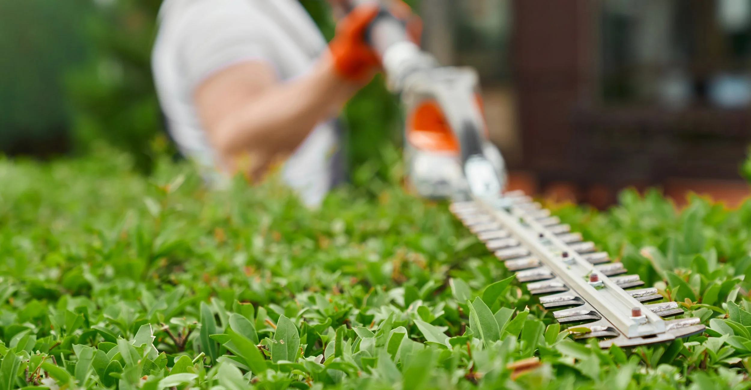 Person pruning or trimming plants in a garden or greenhouse with a small gardening tool.