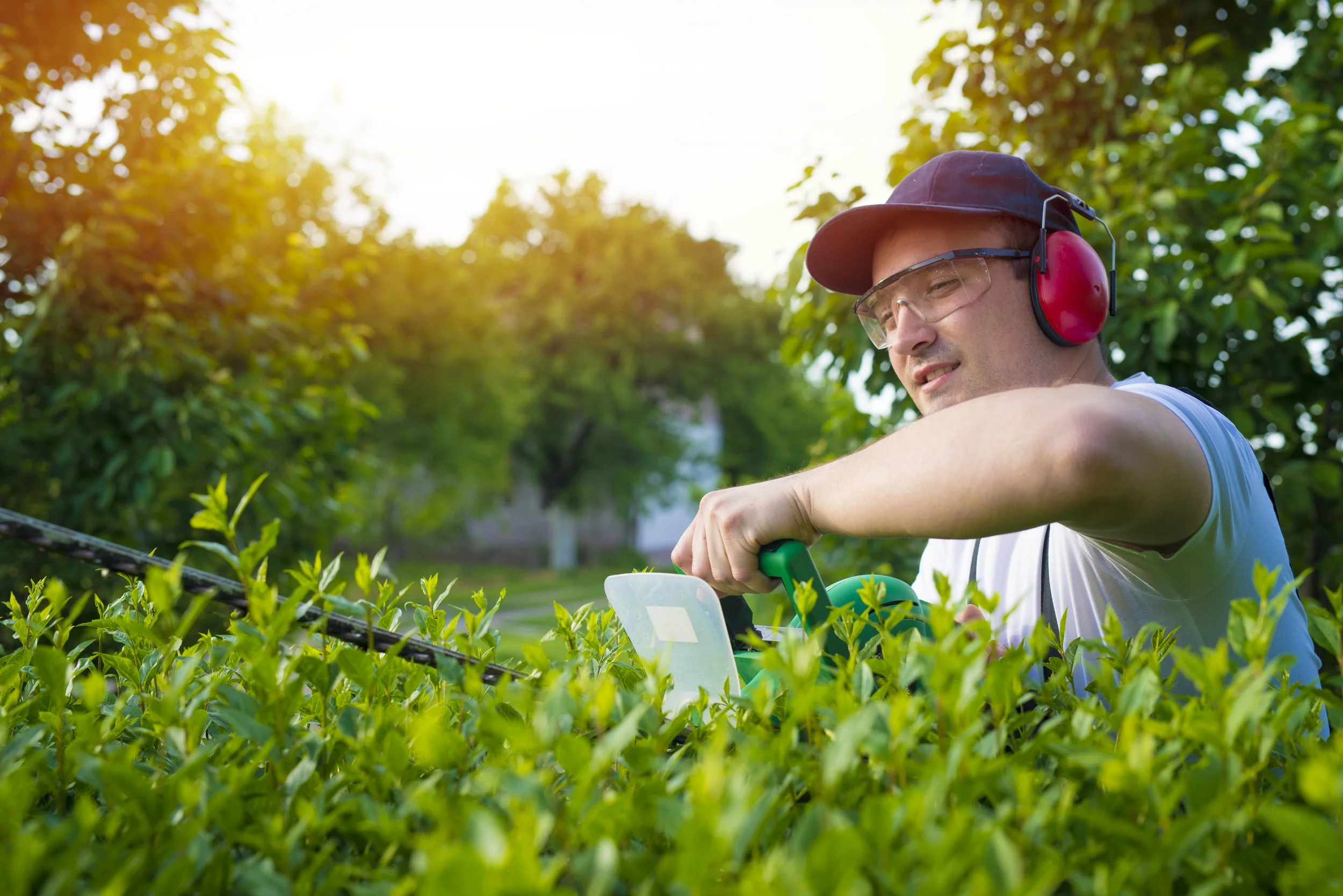 A man wearing safety glasses, a hat, and large red ear protection is trimming green bushes outside during sunlight, with trees and sun in the background.