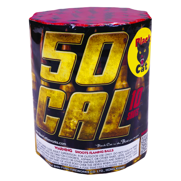 50 CAL 10 SHOTS