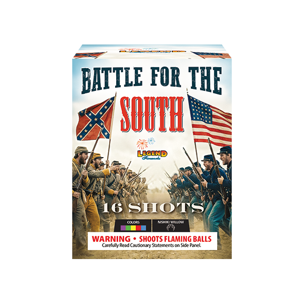 BATTLE FOR THE SOUTH