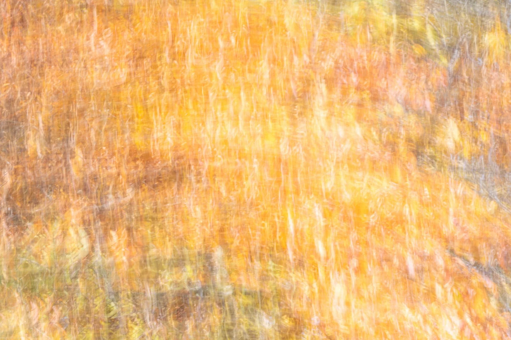 An abstract image of fall foliage with blurred orange, yellow, and pink leaves.