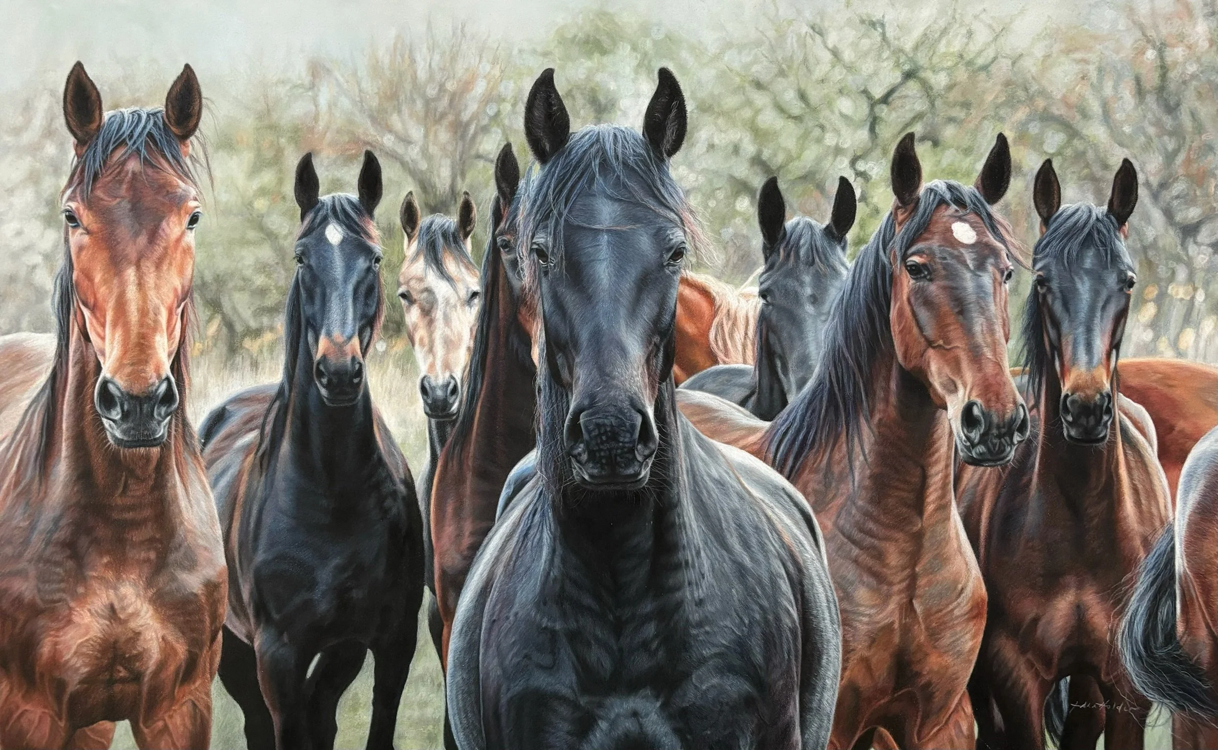 A group of multiple horses standing closely together outdoors with trees in the background.