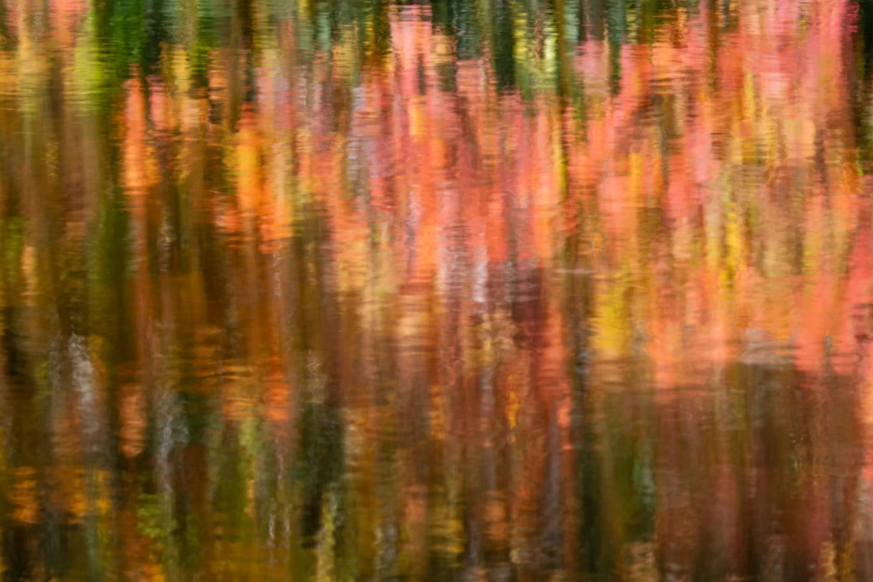 Blurred reflection of colorful autumn leaves on water.