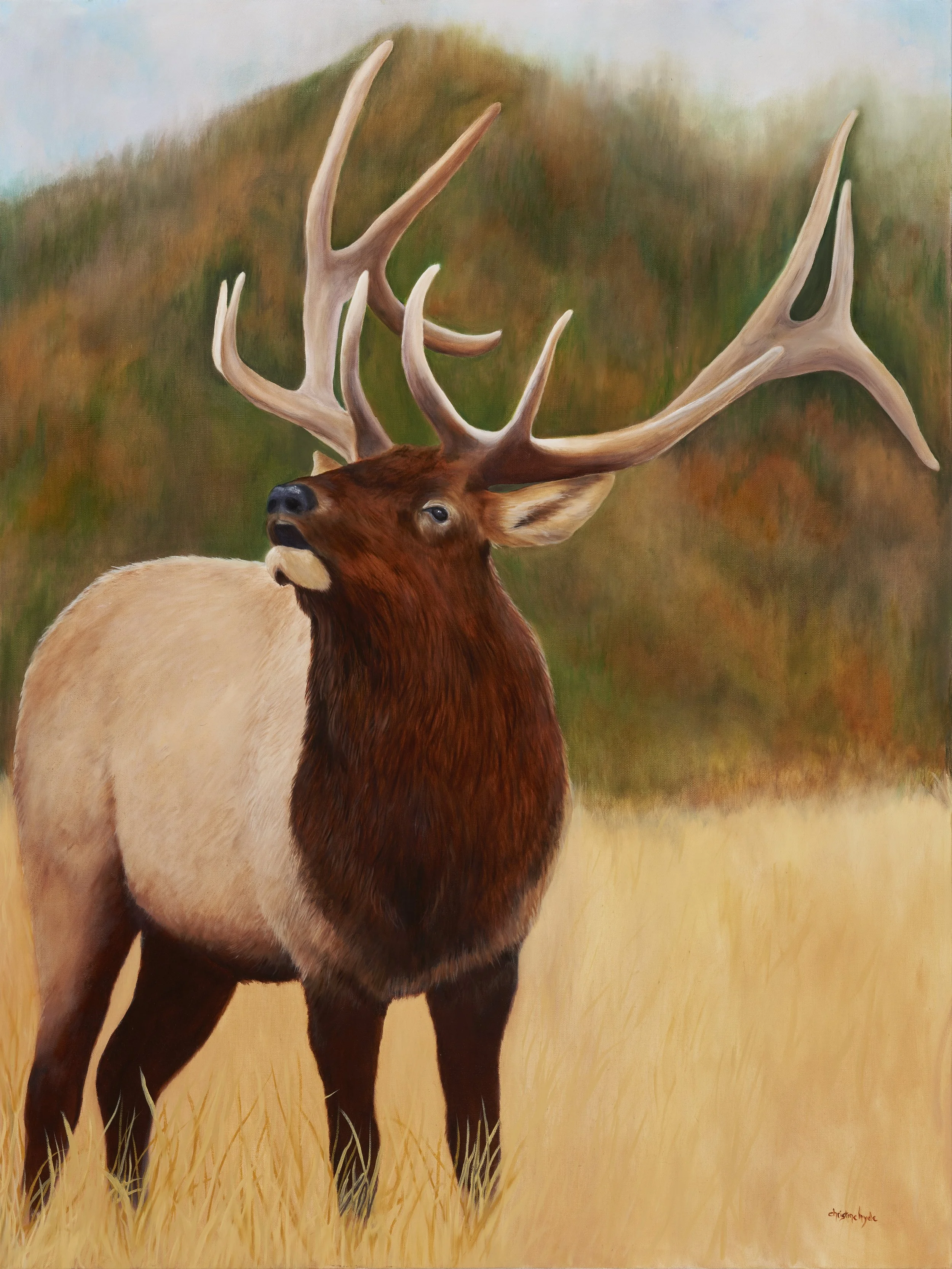 Painting of a majestic elk with large antlers standing in a grassy field with a blurred natural background.