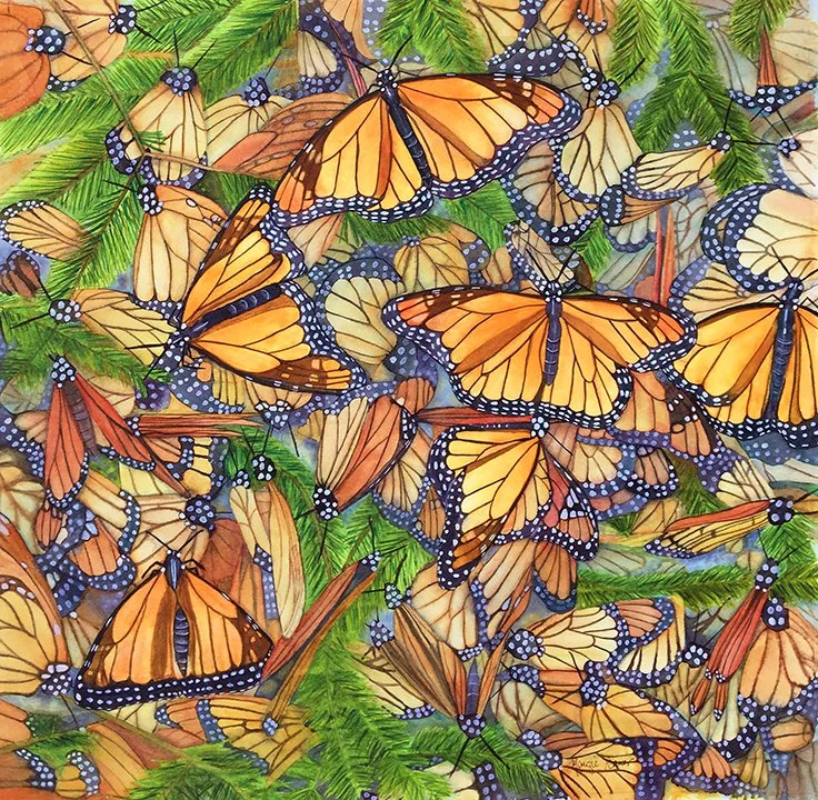 A dense cluster of monarch butterflies with orange and black wings among green pine branches.