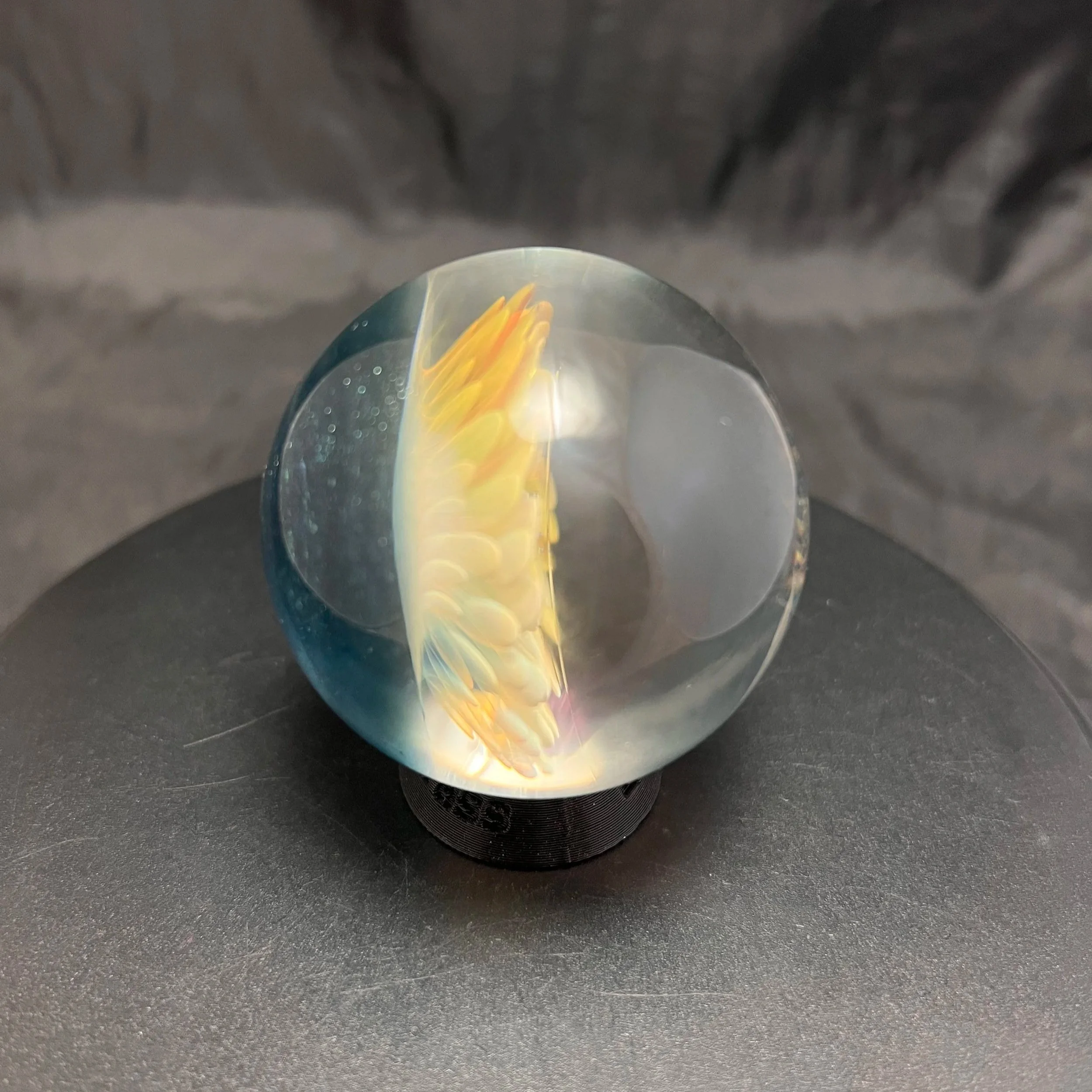 IMG_7130.jpg