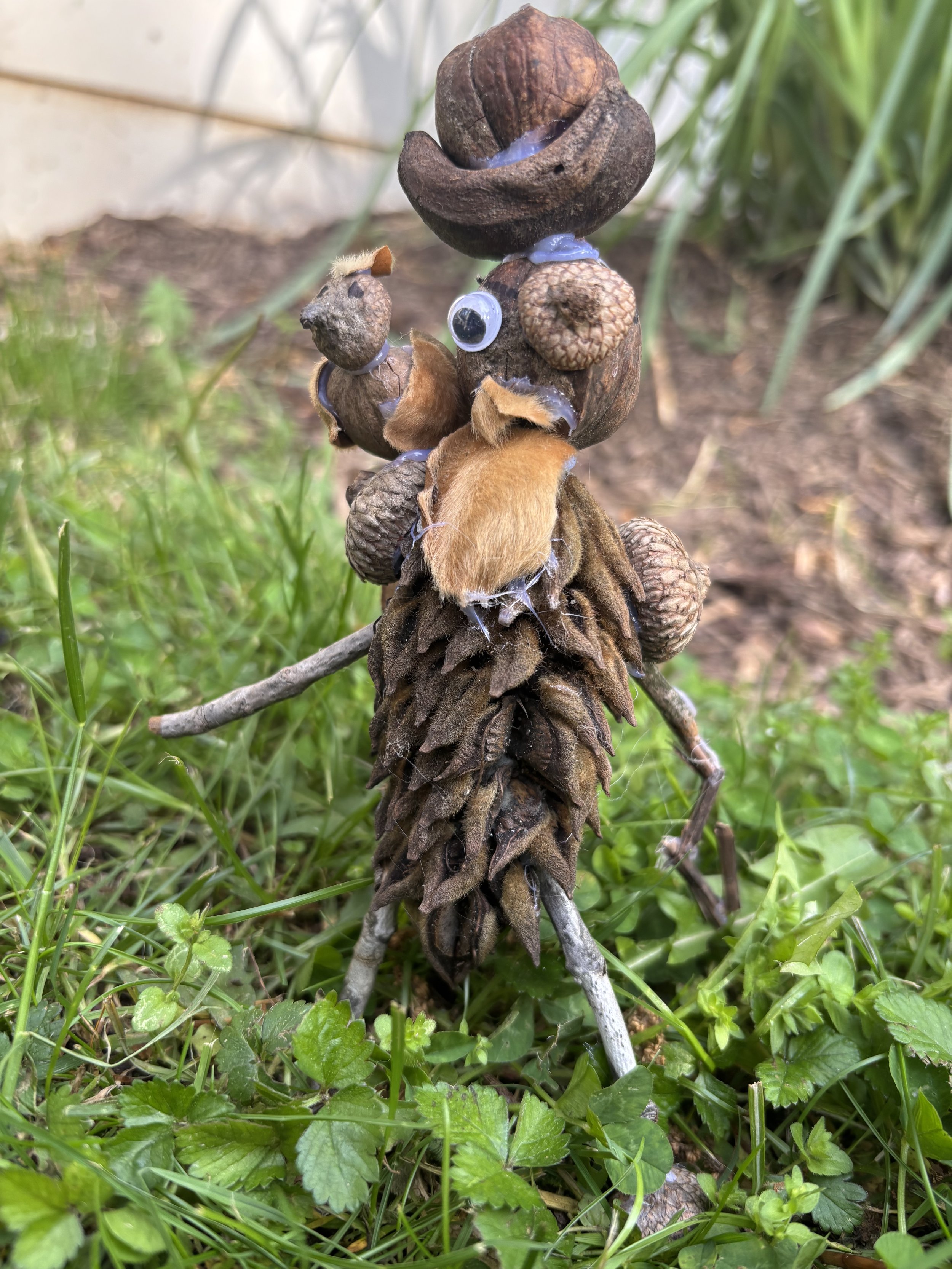 A natural outdoor scene showing a seed cone with lots of fuzzy, brown seed scales, sitting on a small twig in green grass. The cone is decorated with googly eyes and small pieces of brown fur, giving it a whimsical, human-like appearance.